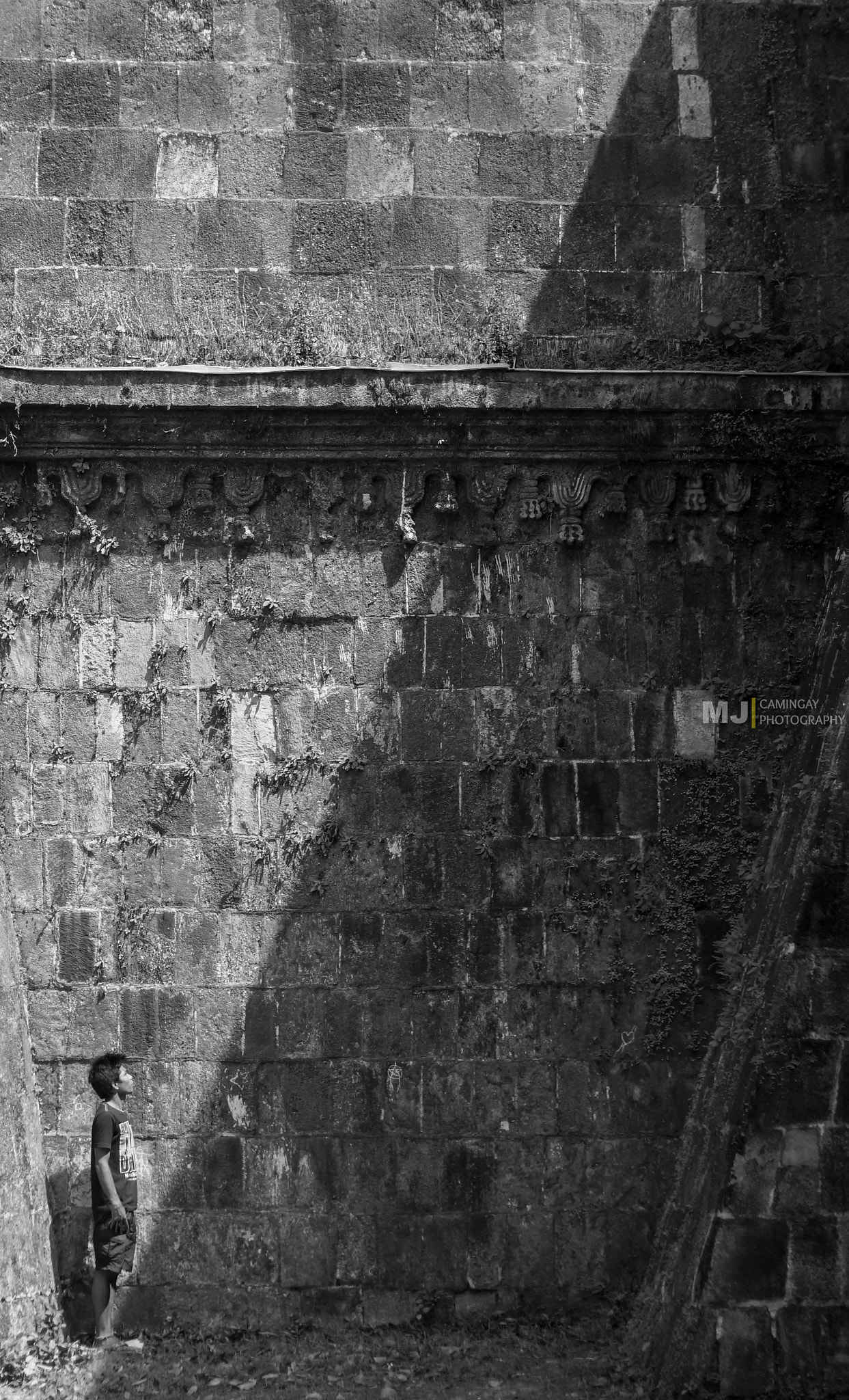 Sony SLT-A58 + Minolta AF 50mm F1.7 sample photo. Bw photography