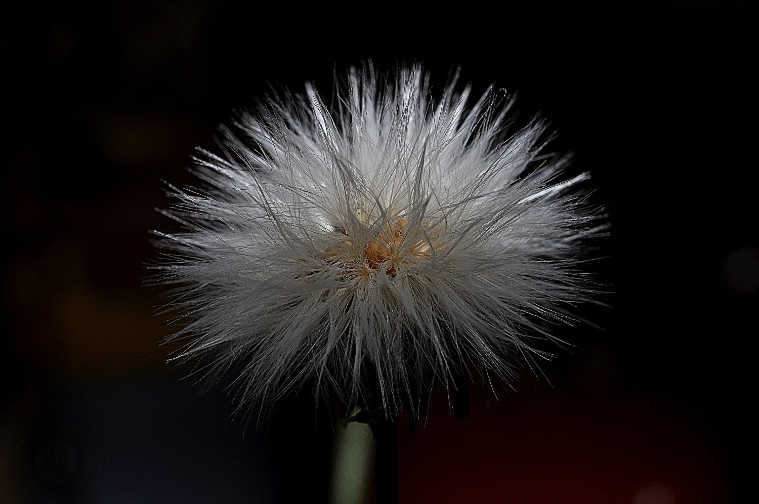 AF Nikkor 28mm f/2.8 sample photo. A photography