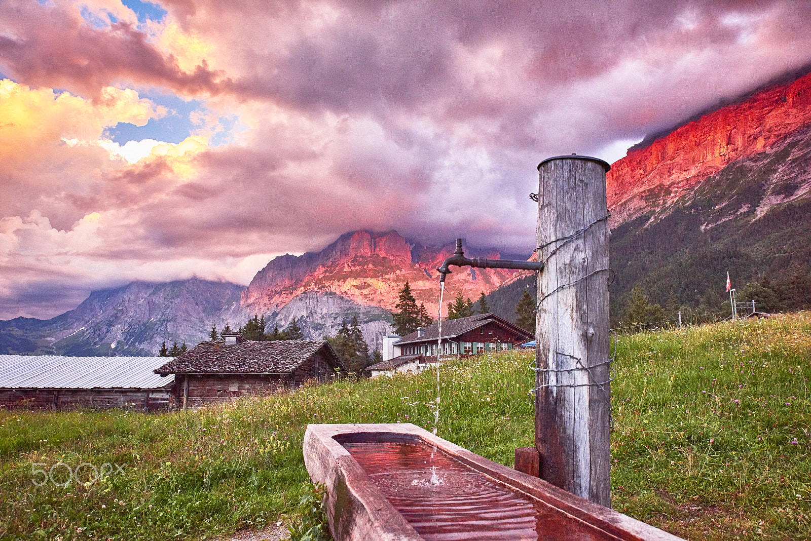 Nikon D810 sample photo. Jungfraujoch of swiss photography