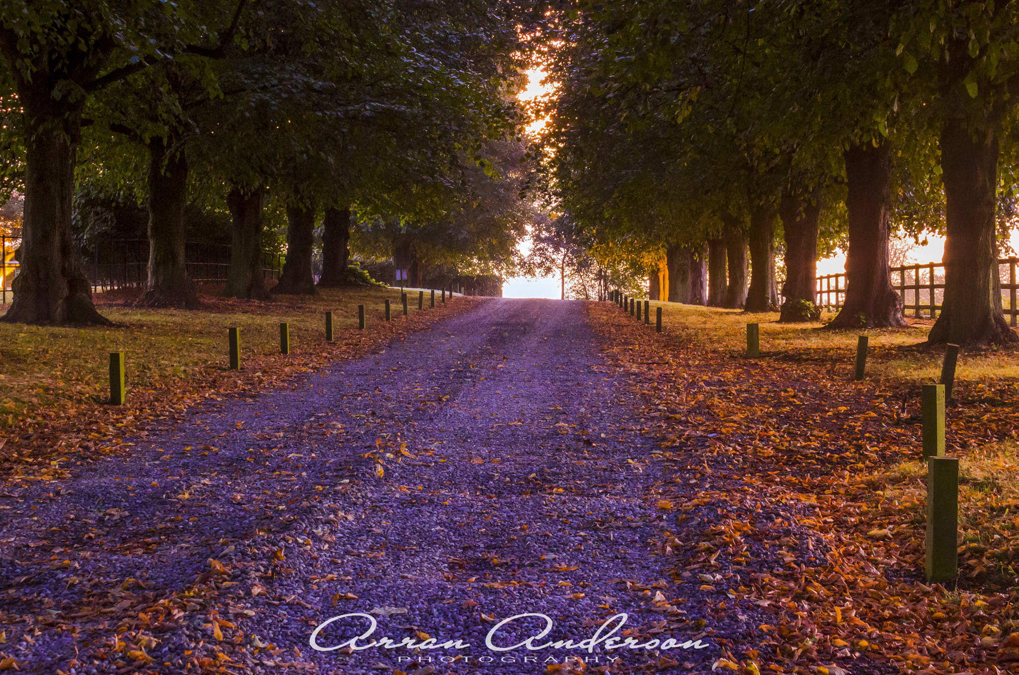 Canon EF-S 18-55mm F3.5-5.6 II sample photo. Auntumn lane photography