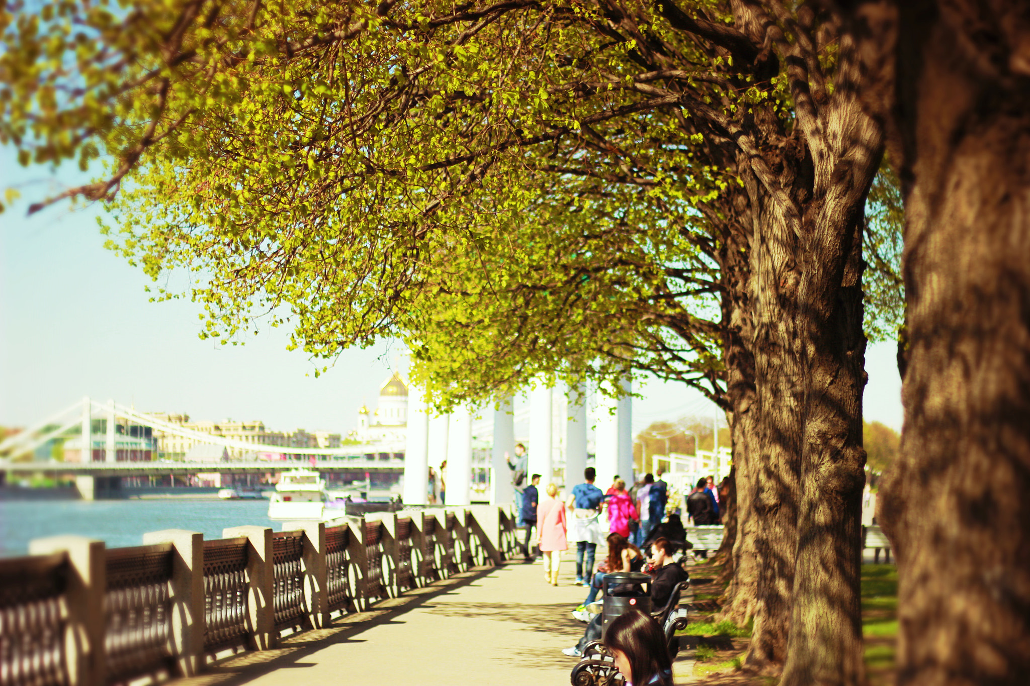 Canon EOS 550D (EOS Rebel T2i / EOS Kiss X4) + Canon EF 50mm F1.8 II sample photo. Processed with rookie photography
