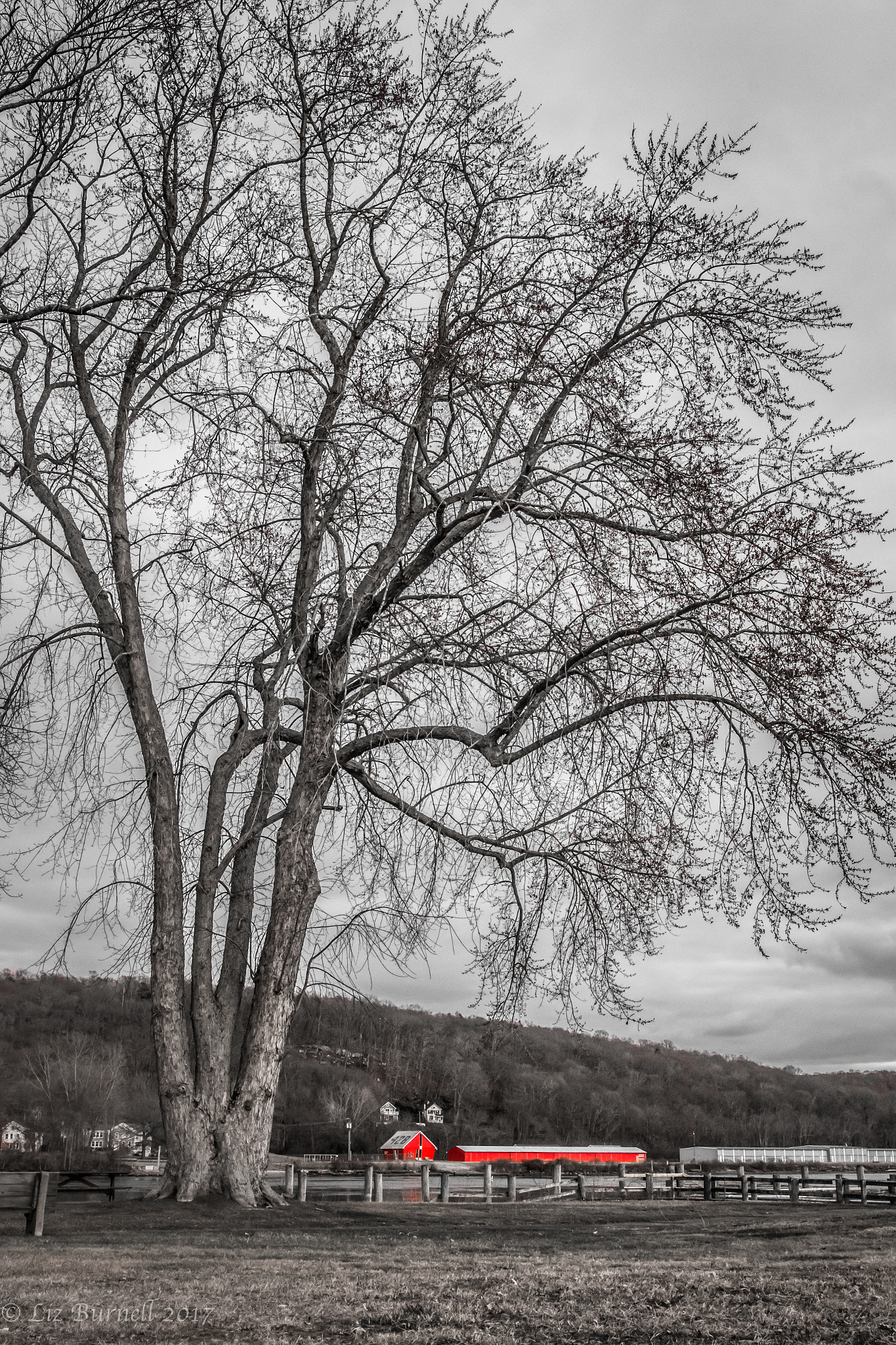 Sigma 24mm F1.4 DG HSM Art sample photo. Untitled photography