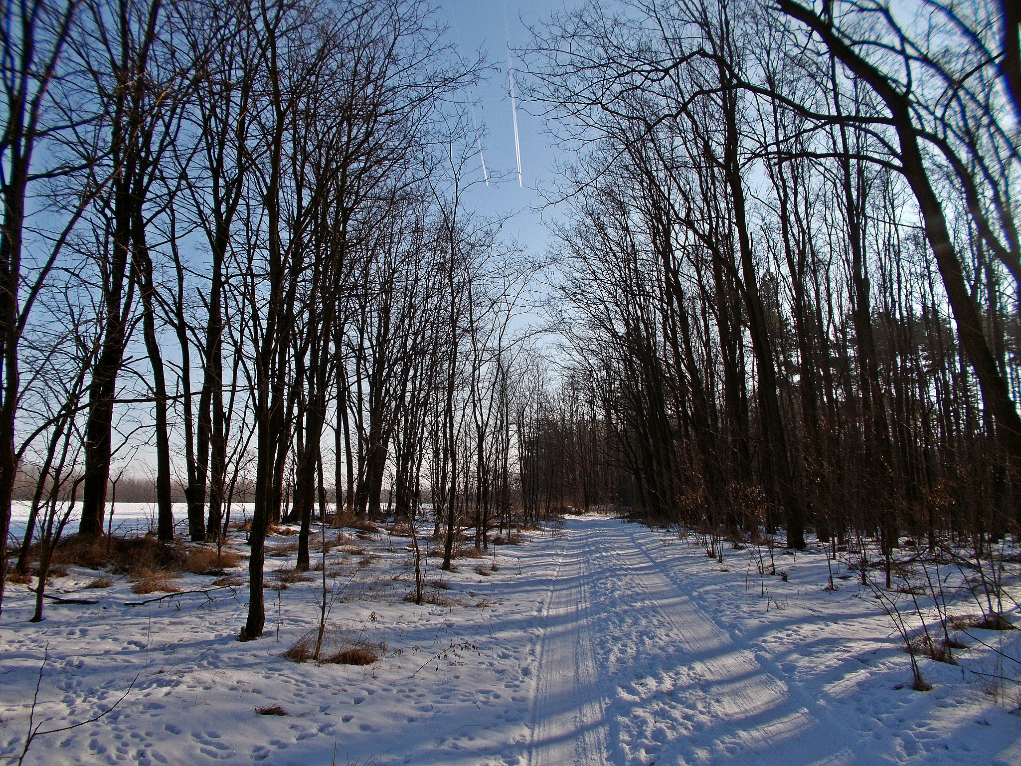 Nikon COOLPIX L29 sample photo. Two roads - forest and air. photography