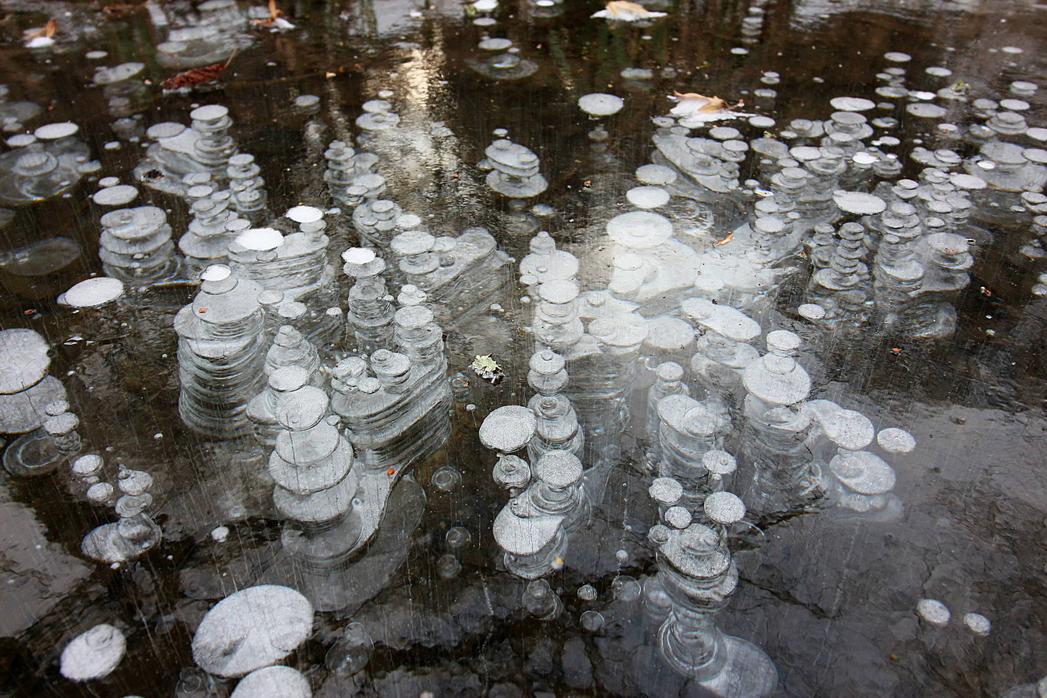 Canon EOS 650D (EOS Rebel T4i / EOS Kiss X6i) sample photo. Gefrorene blasen 2 / frozen bubbles photography