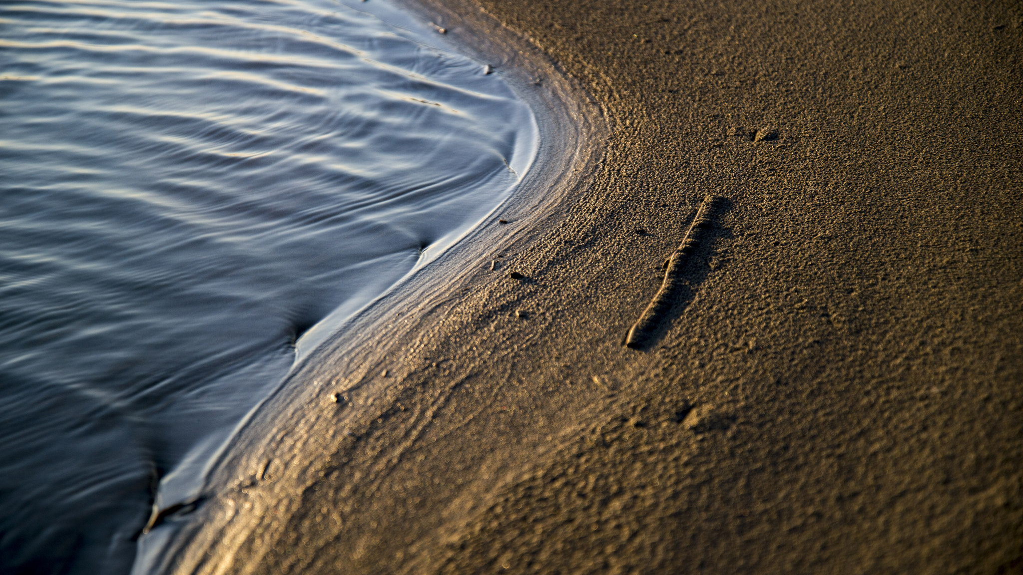 Nikon Df sample photo. "mellow” photography