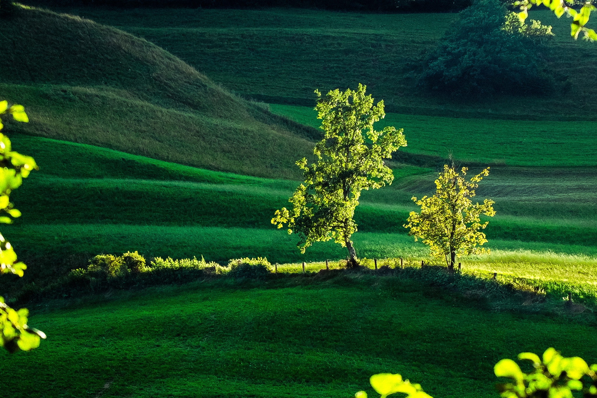 Fujifilm X-E1 + Fujifilm XF 55-200mm F3.5-4.8 R LM OIS sample photo. Sunset in saalfelden, austria photography