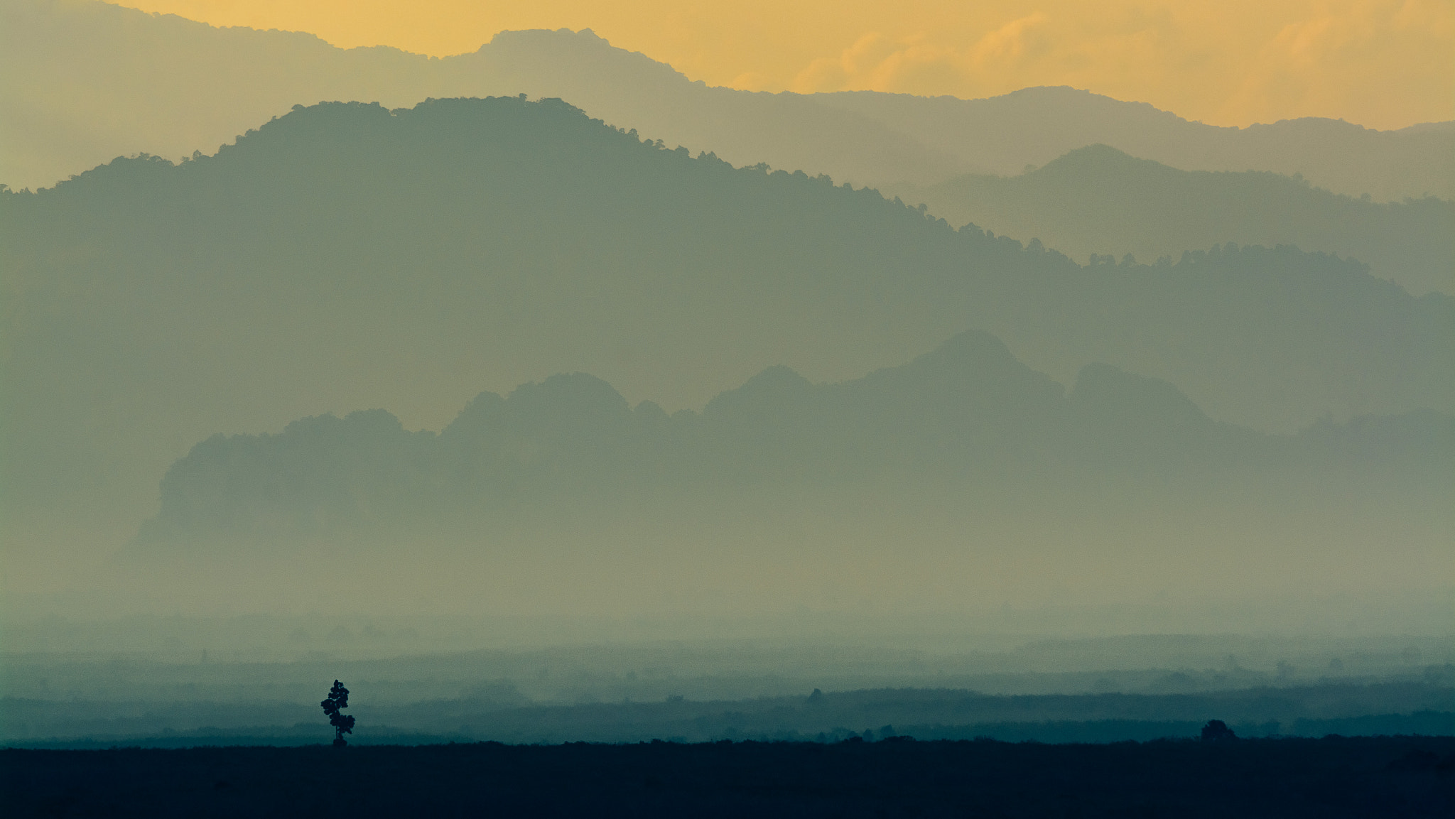 Sigma 150-600mm F5-6.3 DG OS HSM | C sample photo. ..distinctive.. photography