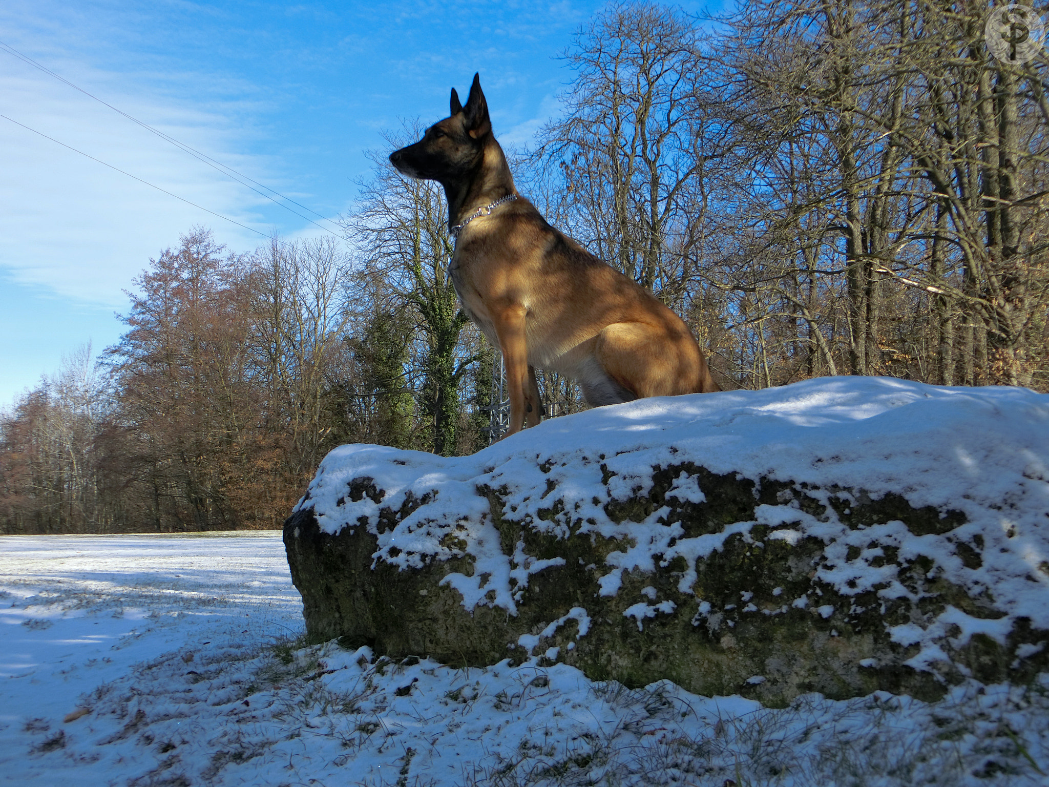 CASIO EX-ZR800 sample photo. Posing on a snow-capped stone photography