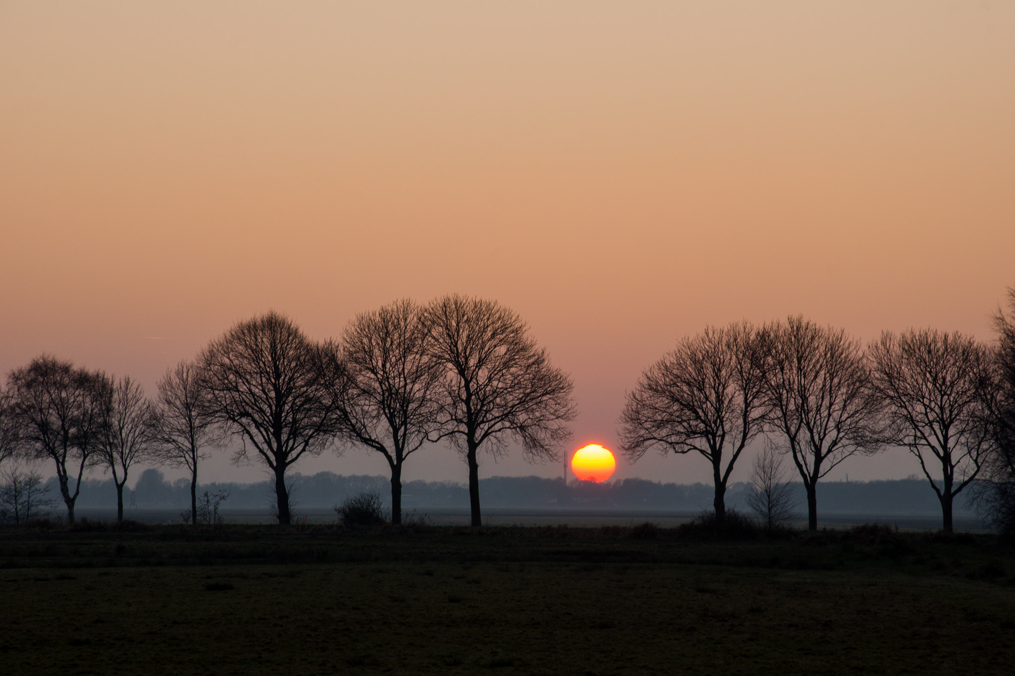 Sony SLT-A65 (SLT-A65V) sample photo. Once more...a sunset photography