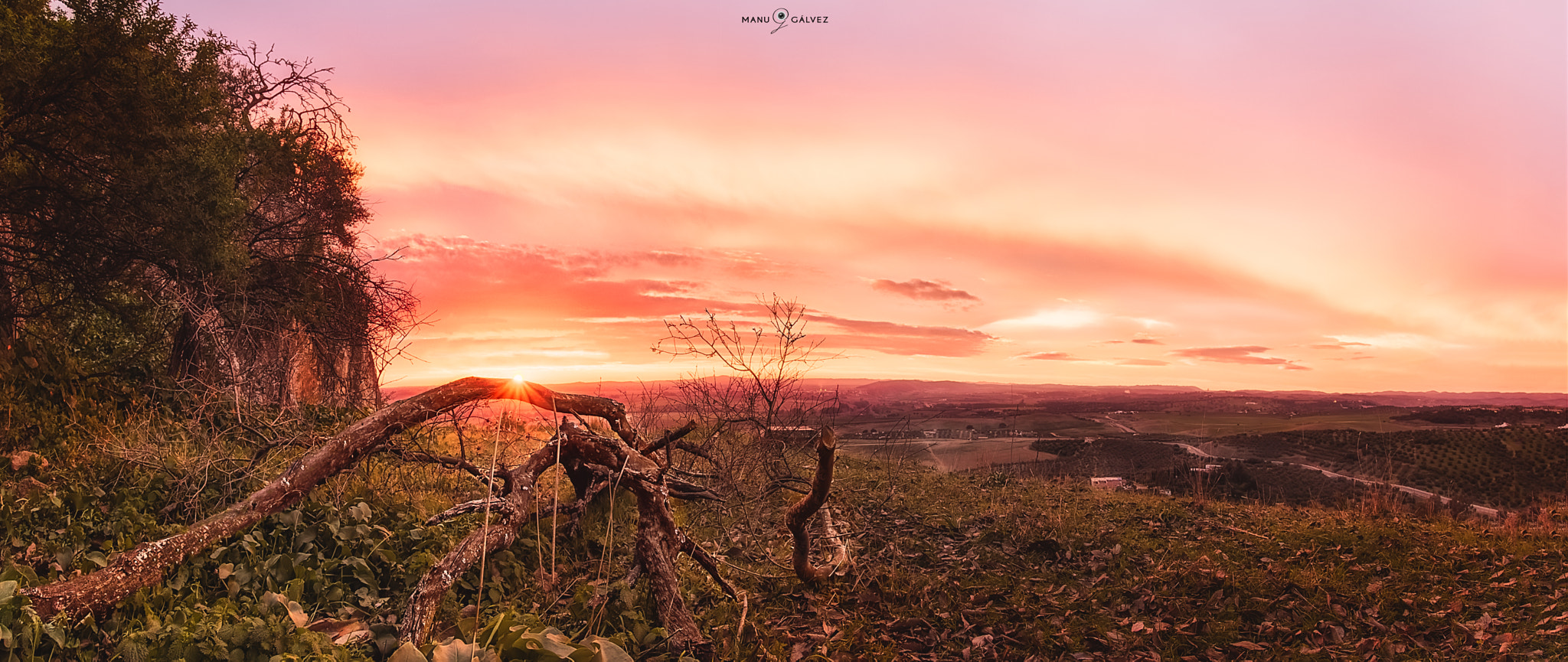 Sigma 10-20mm F3.5 EX DC HSM sample photo. Atardecer tronco photography