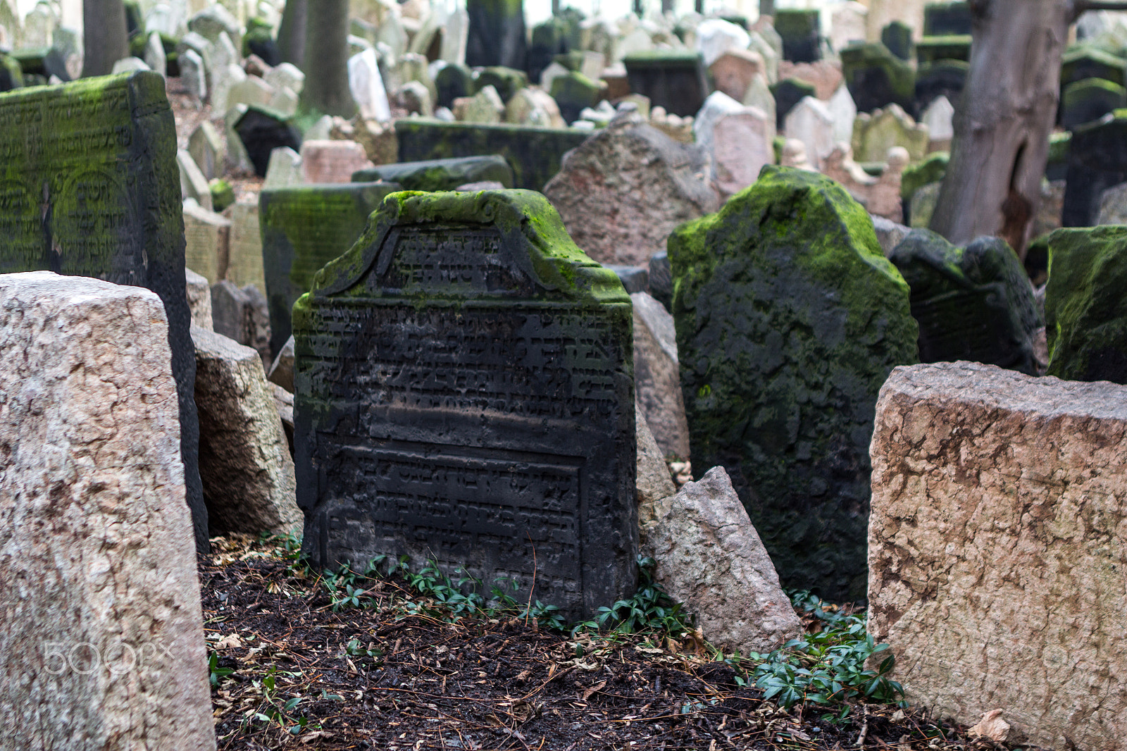 Canon EOS 60D + Canon EF 24-70mm F2.8L USM sample photo. Josefov, jewish cemetery in prague, world heritage photography