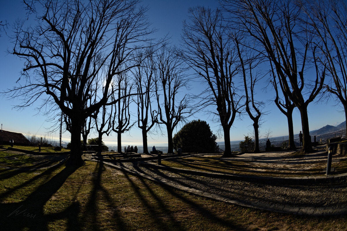 Nikon AF DX Fisheye-Nikkor 10.5mm F2.8G ED sample photo. Shadows photography