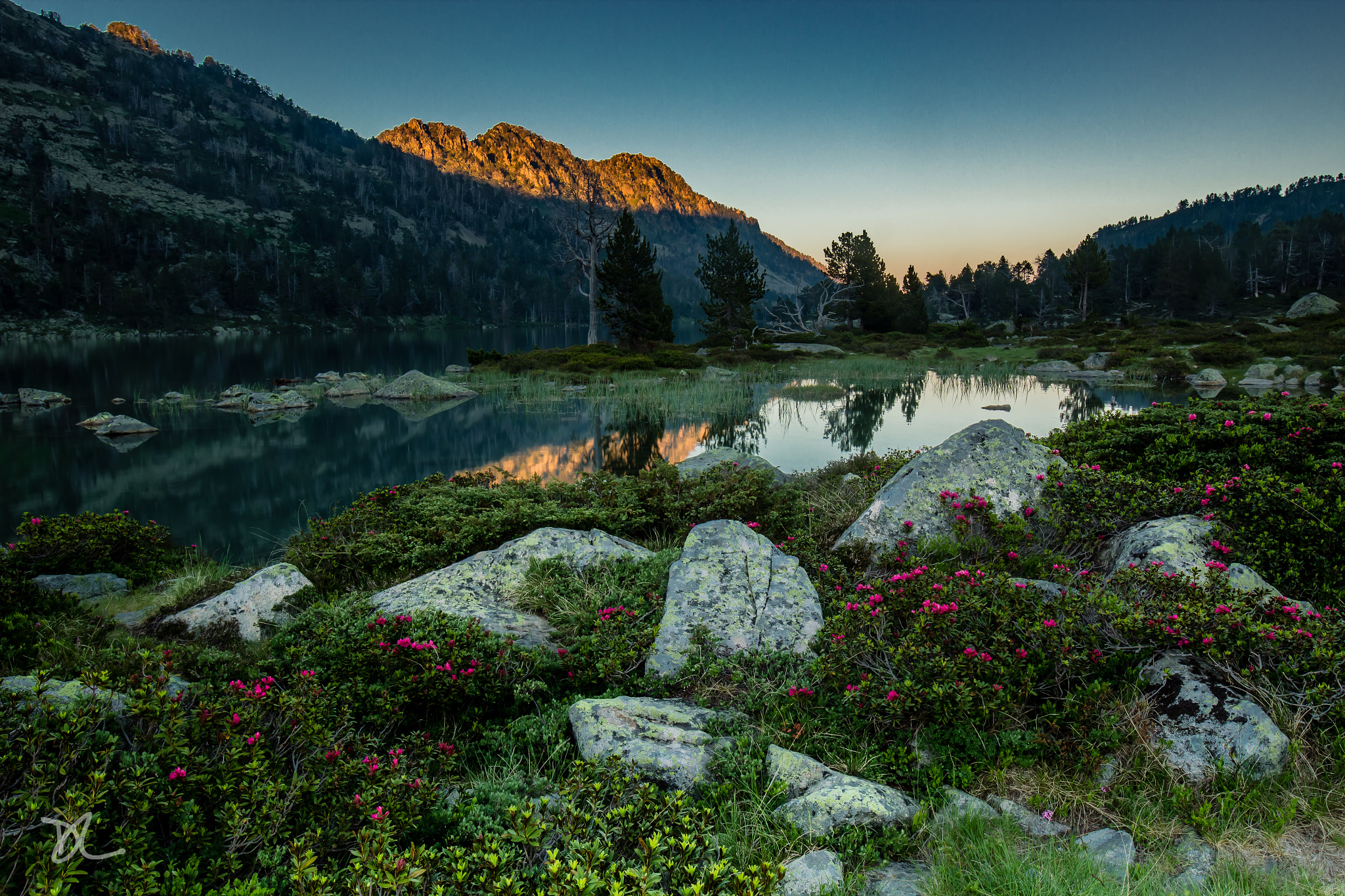 Canon EF 16-35mm F4L IS USM sample photo. Matin tranquille photography