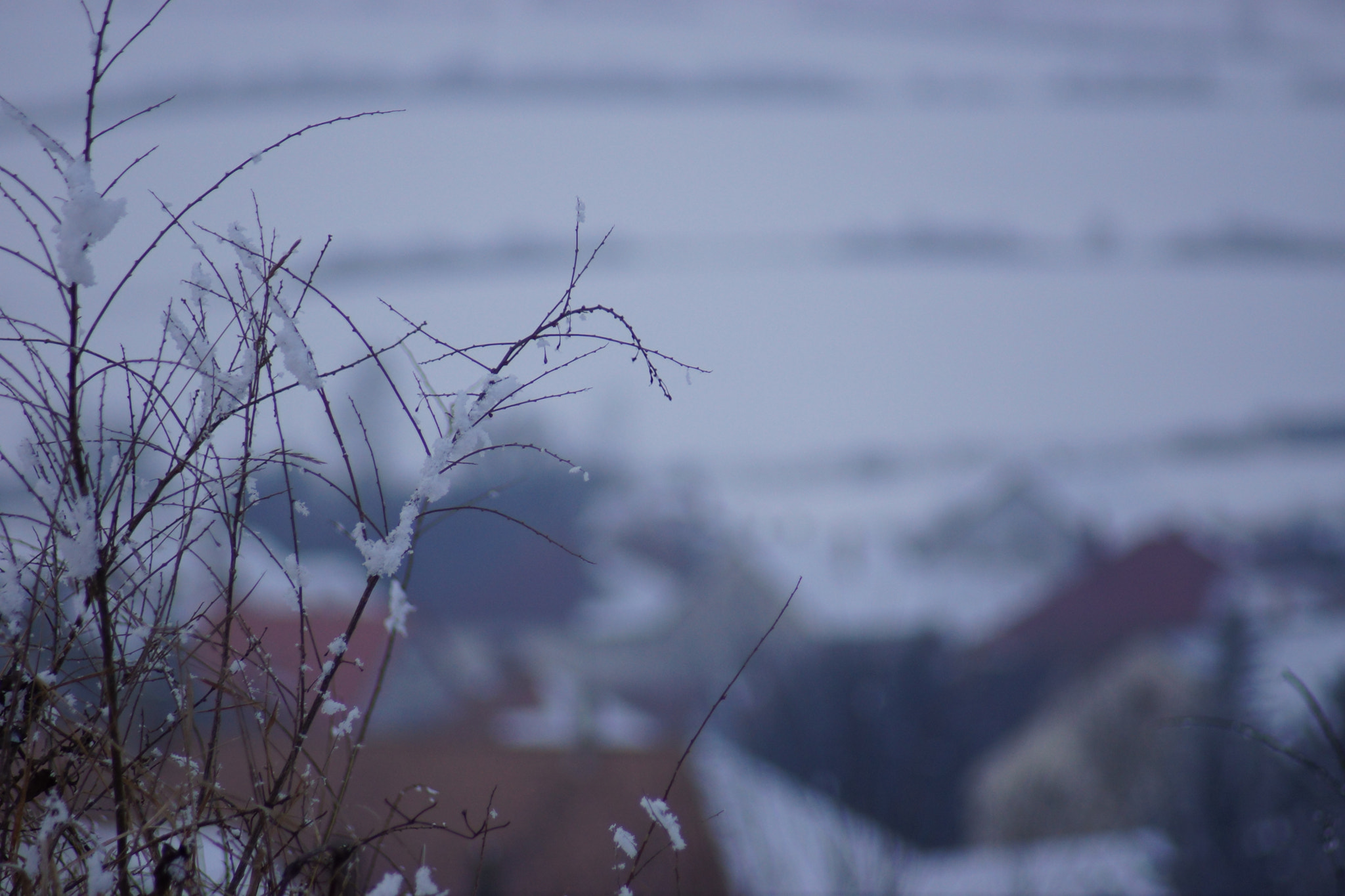 Sony SLT-A65 (SLT-A65V) sample photo. Winter landscapes photography
