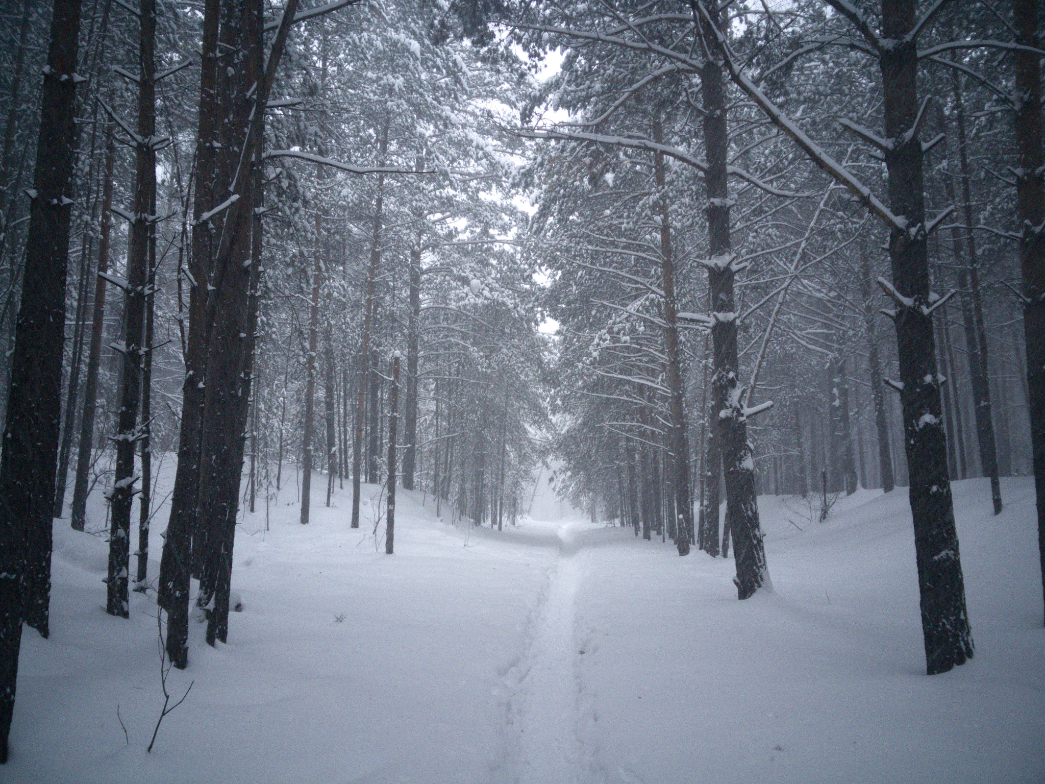 OnePlus ONE sample photo. Snowy road photography