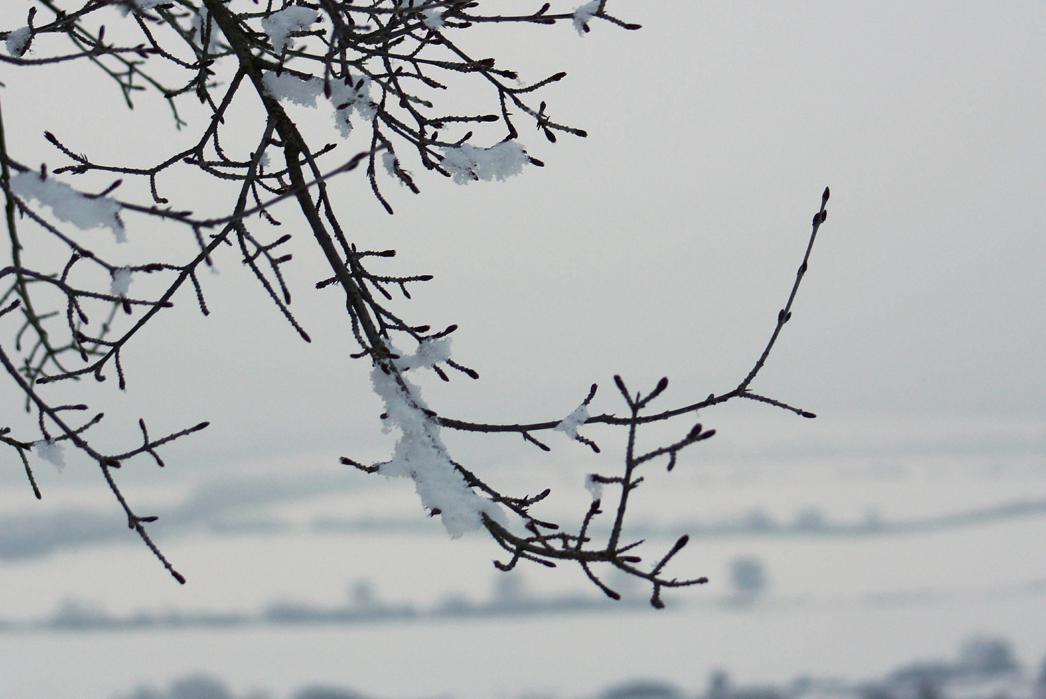 Minolta AF 70-210mm F4.5-5.6 [II] sample photo. Winter landscape  photography
