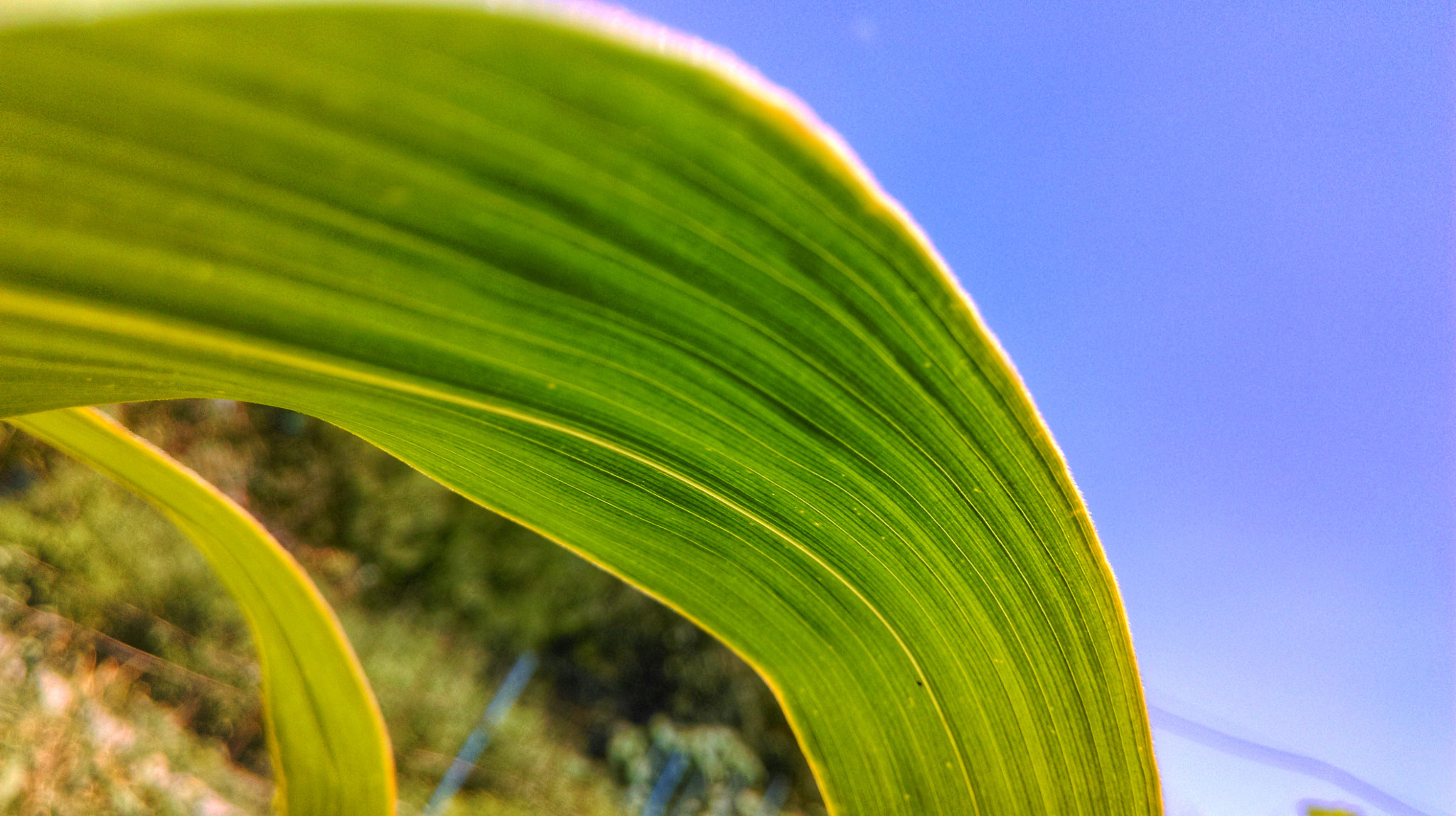 HTC 0P9C8 sample photo