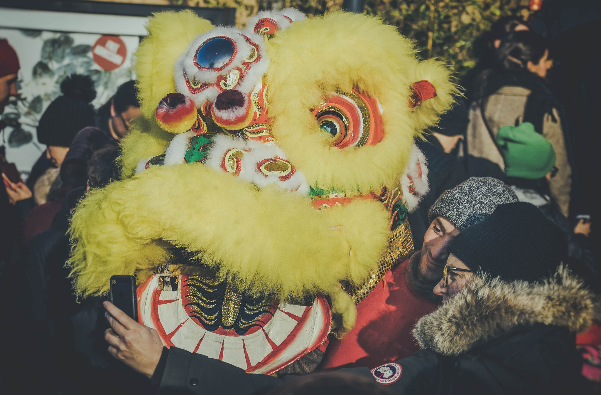 Sony SLT-A58 + Tamron AF 55-200mm F4-5.6 Di II LD Macro sample photo. Gong hei fat choi! happy new year! photography