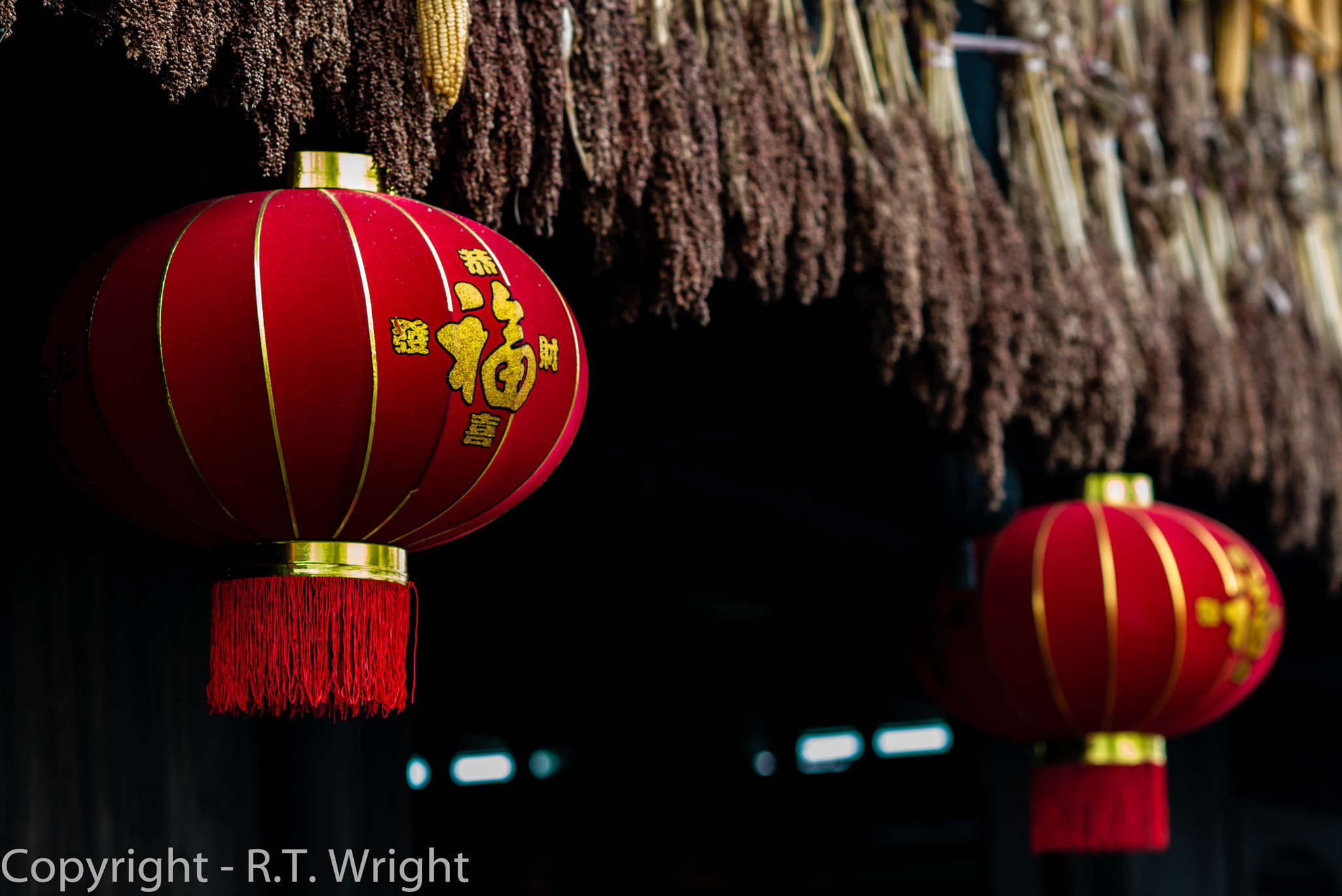 Nikon D800 sample photo. Chinese lanterns photography