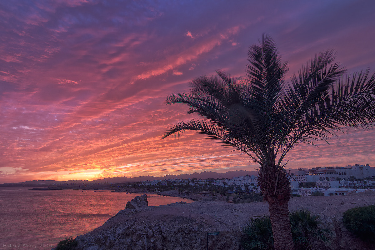 Tokina AT-X Pro 12-24mm F4 (IF) DX sample photo. Fantastic sunset photography