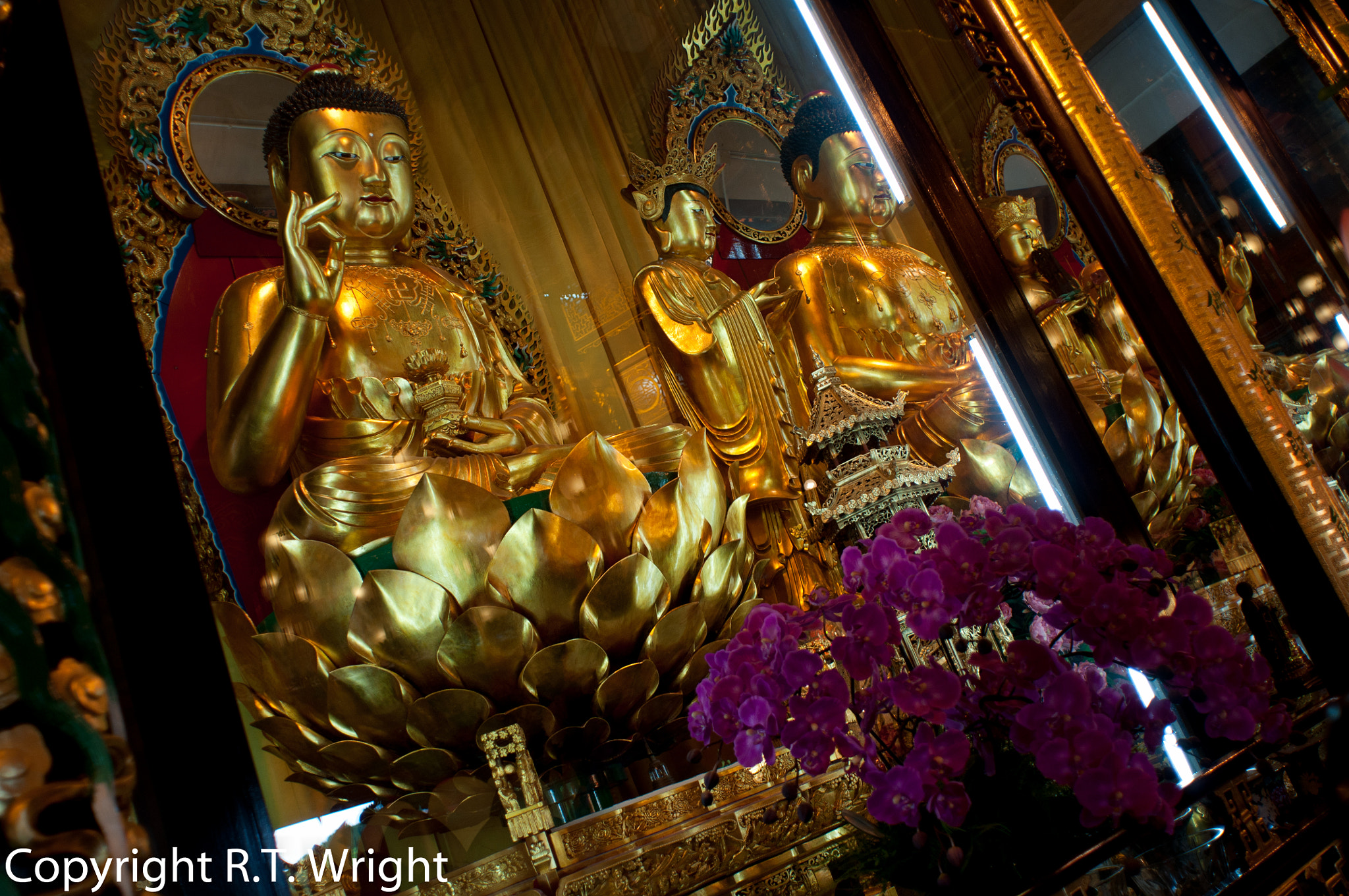 Nikon D300 + Nikon AF Nikkor 20mm F2.8D sample photo. Budda by fluorescent light photography