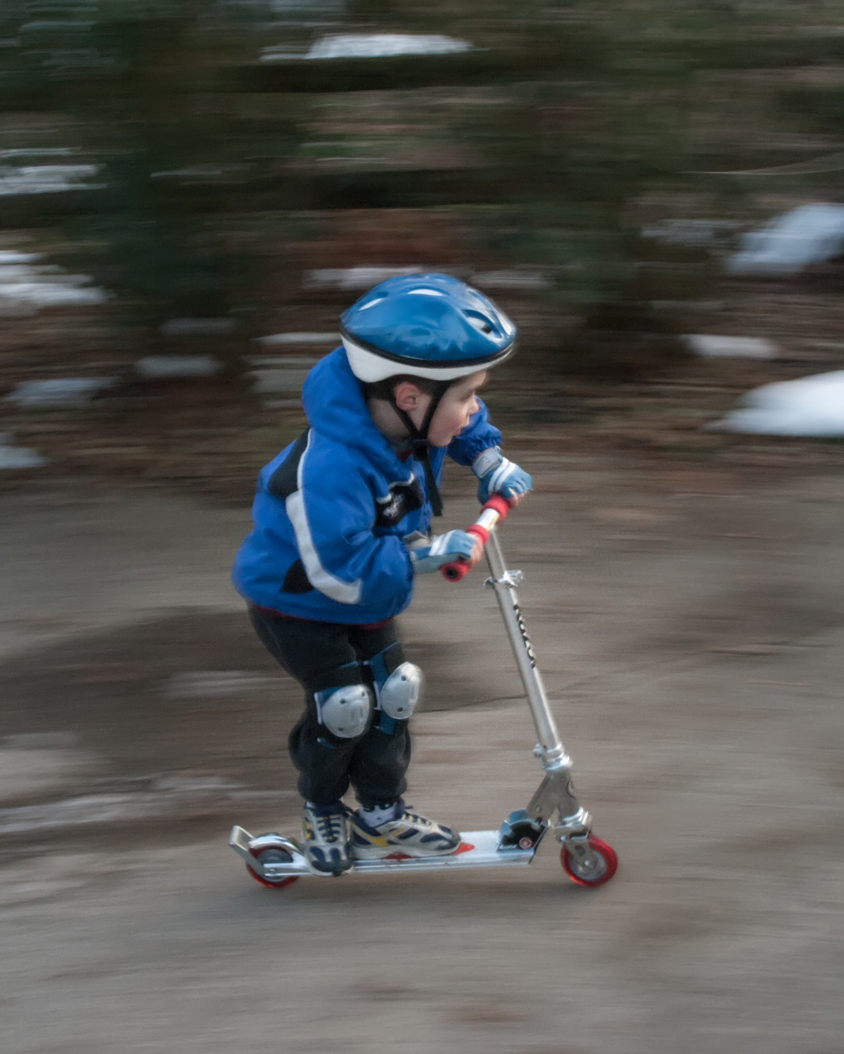 Canon EF 35-135mm f/4-5.6 USM sample photo. I need speed photography