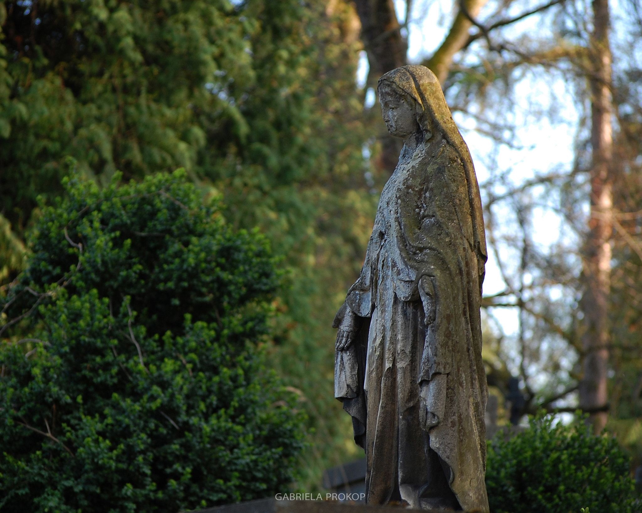 Nikon D40 sample photo. Graveyard 3 photography
