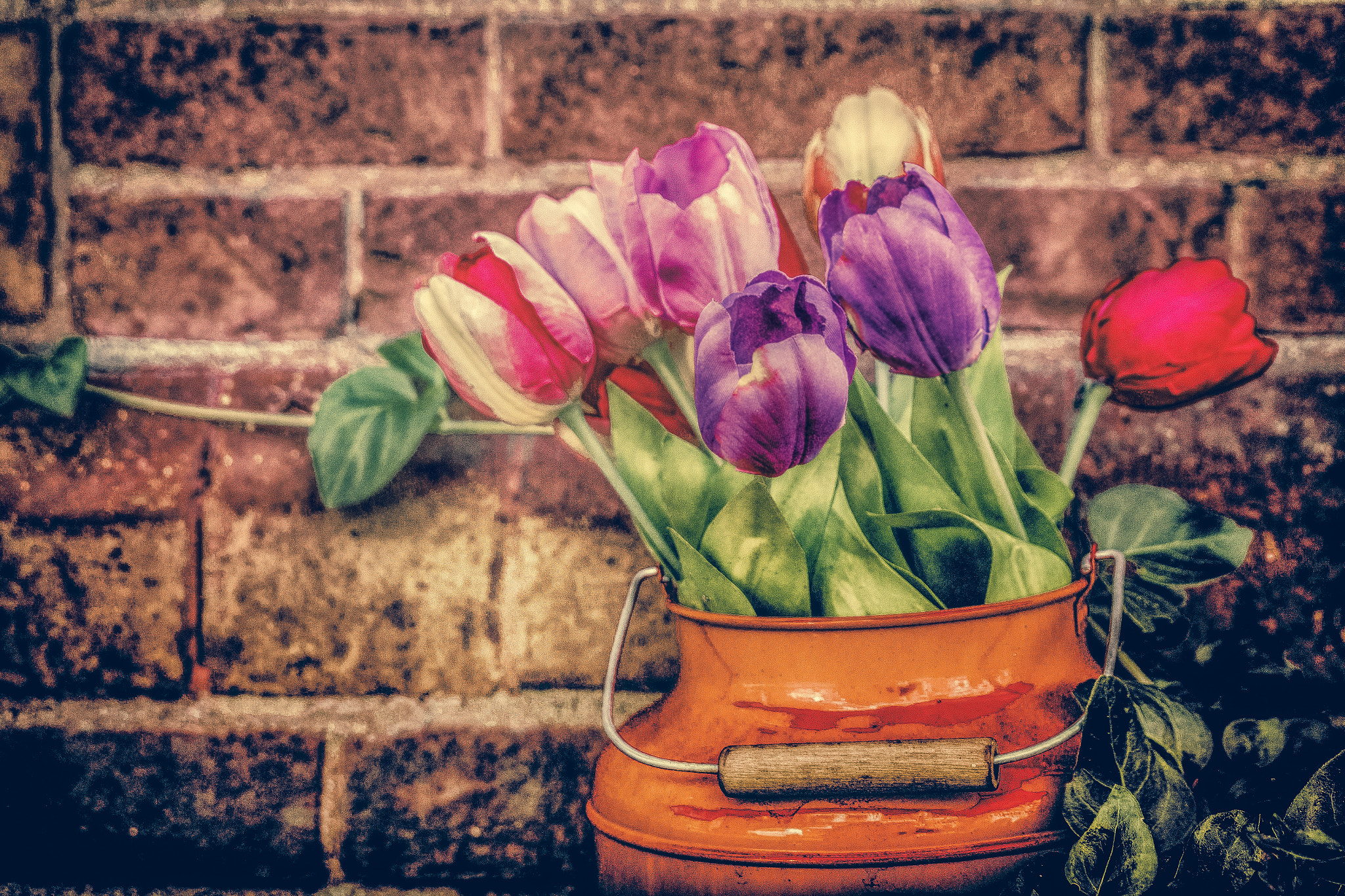 Canon EOS 70D + Sigma 24-70mm F2.8 EX DG Macro sample photo. Tulips in the bucket photography