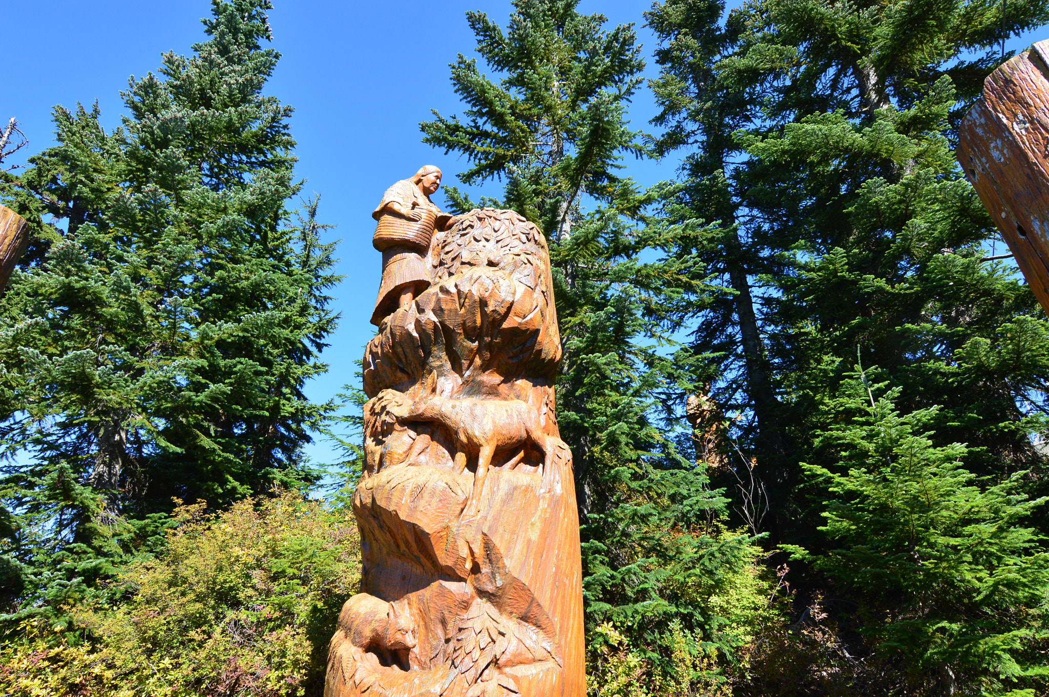 Nikon D3200 sample photo. Vancouvernikon photography