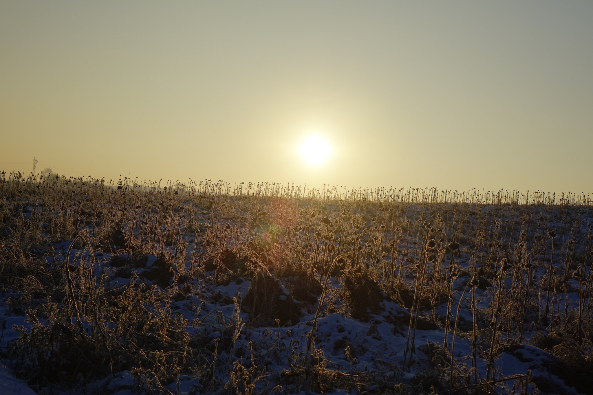 Sony Cyber-shot DSC-RX10 + Sony 24-200mm F2.8 sample photo. Sunrising photography