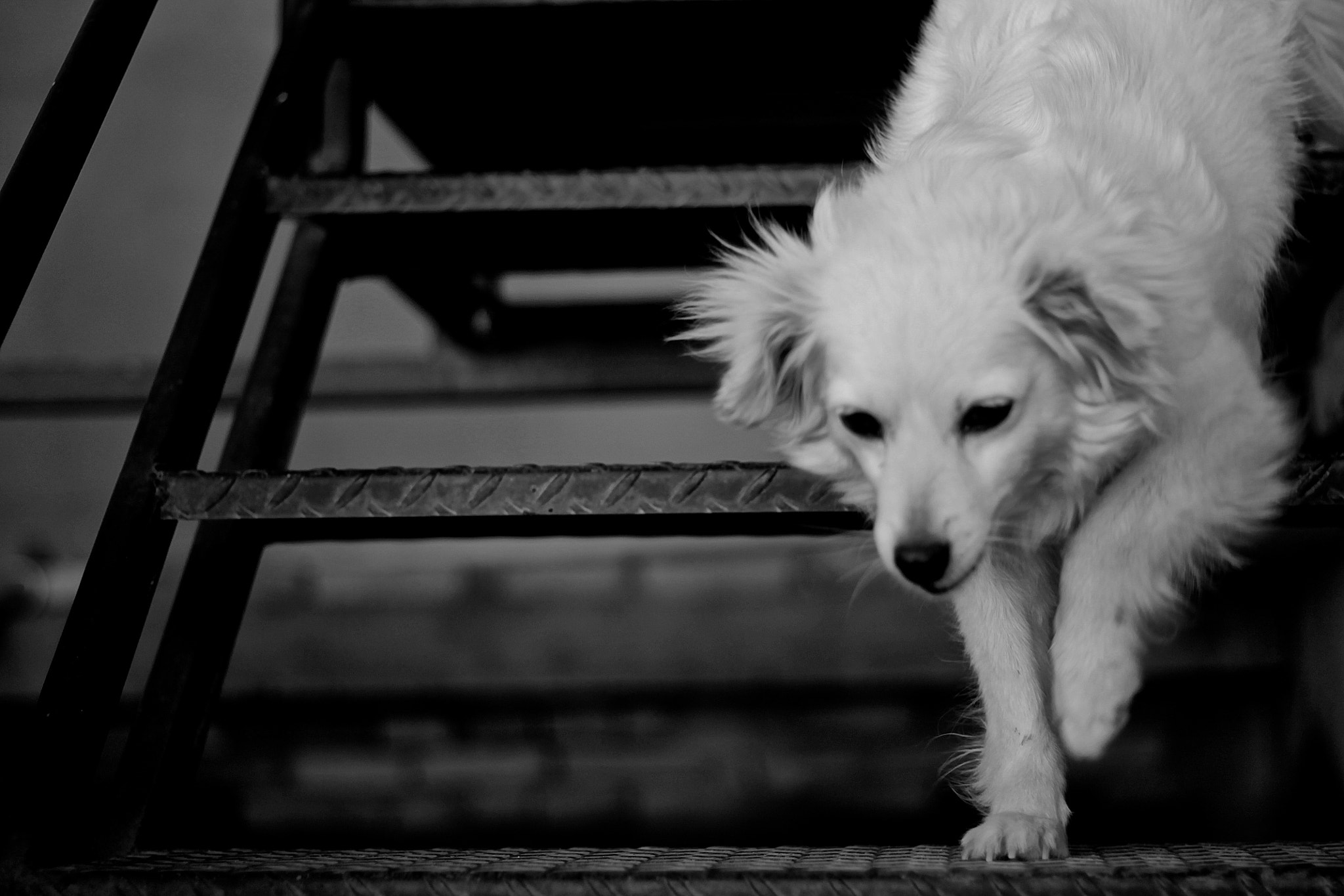 Canon EOS 1100D (EOS Rebel T3 / EOS Kiss X50) sample photo. Ghost photography