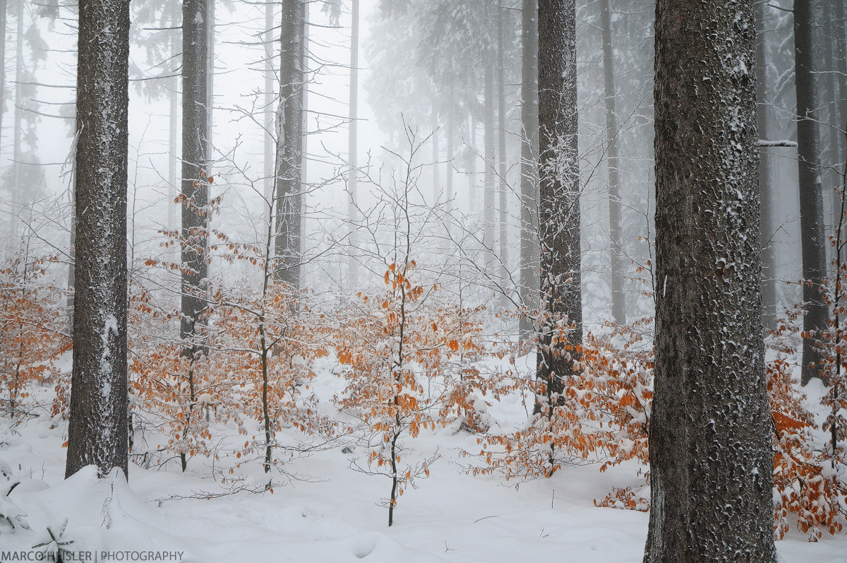 Nikon D300 sample photo. Cold paradise photography