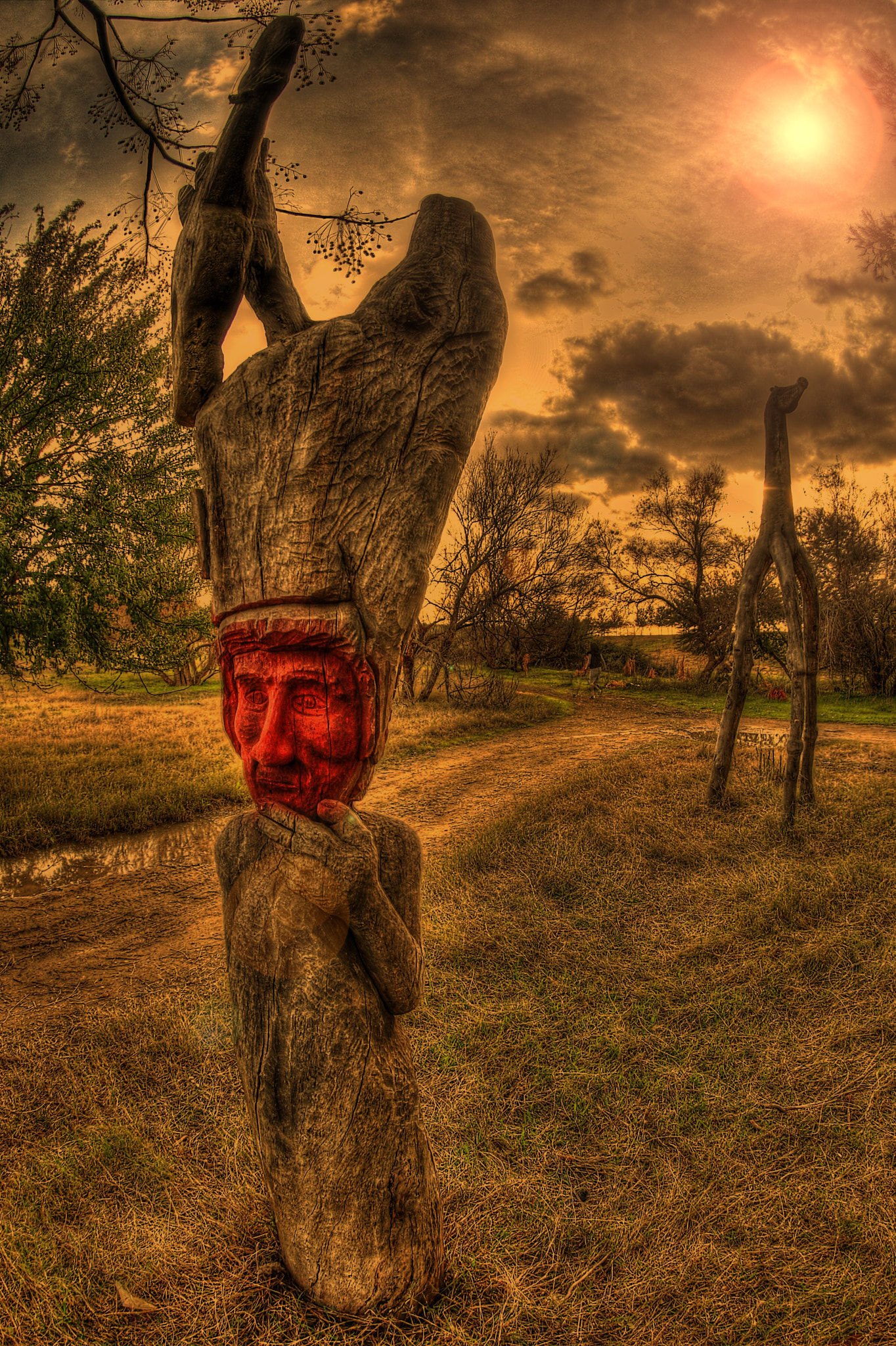 Canon EF 8-15mm F4L Fisheye USM sample photo. Árboles esculpidos en bellavista. sevilla. tree sculpture. photography