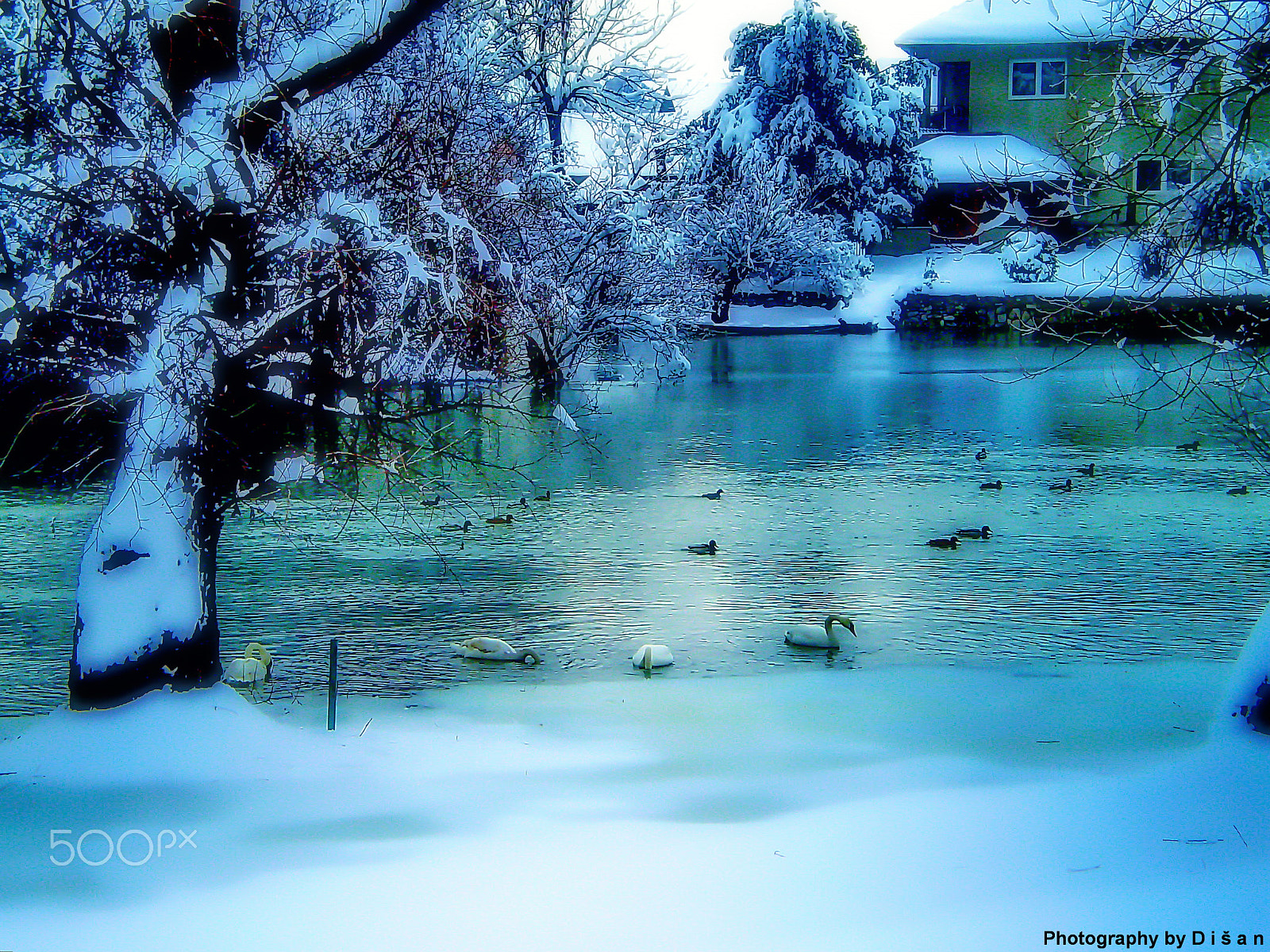 Olympus FE210,X775 sample photo. Winter photography