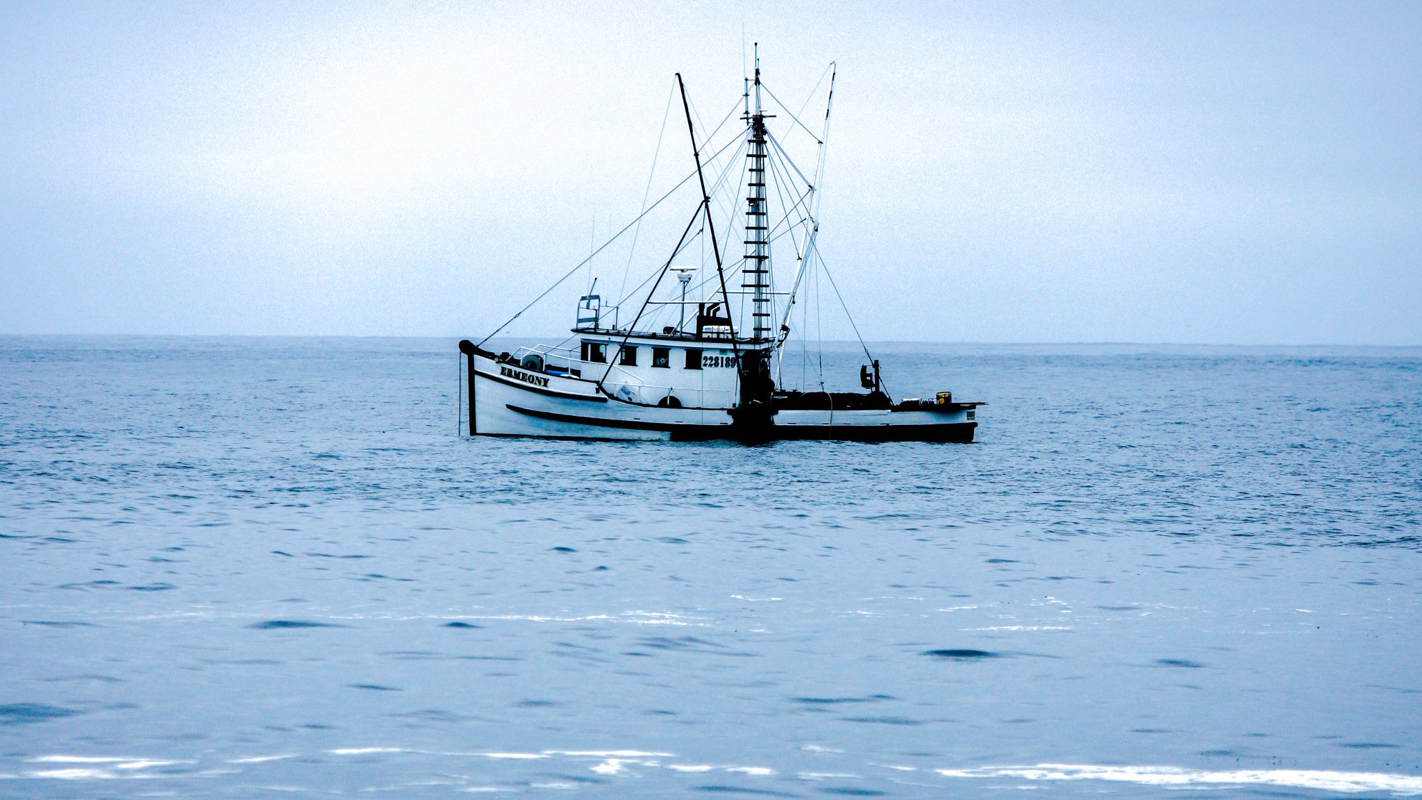 Sony SLT-A77 + 70-200mm F2.8 sample photo