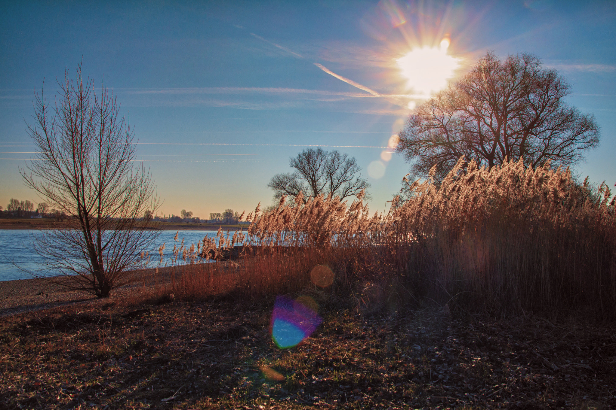 Canon EOS 700D (EOS Rebel T5i / EOS Kiss X7i) + Sigma 17-70mm F2.8-4 DC Macro OS HSM sample photo. Rheinauen in langst kriest bei meerbusch photography