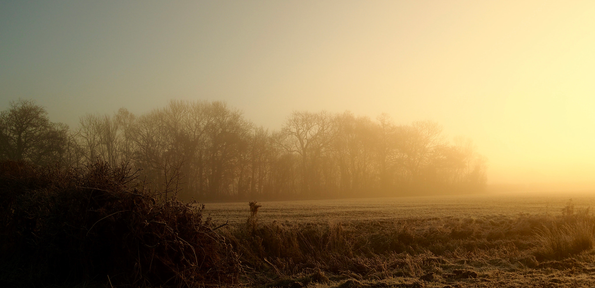 Sigma 19mm F2.8 DN Art sample photo. In windless cold. photography