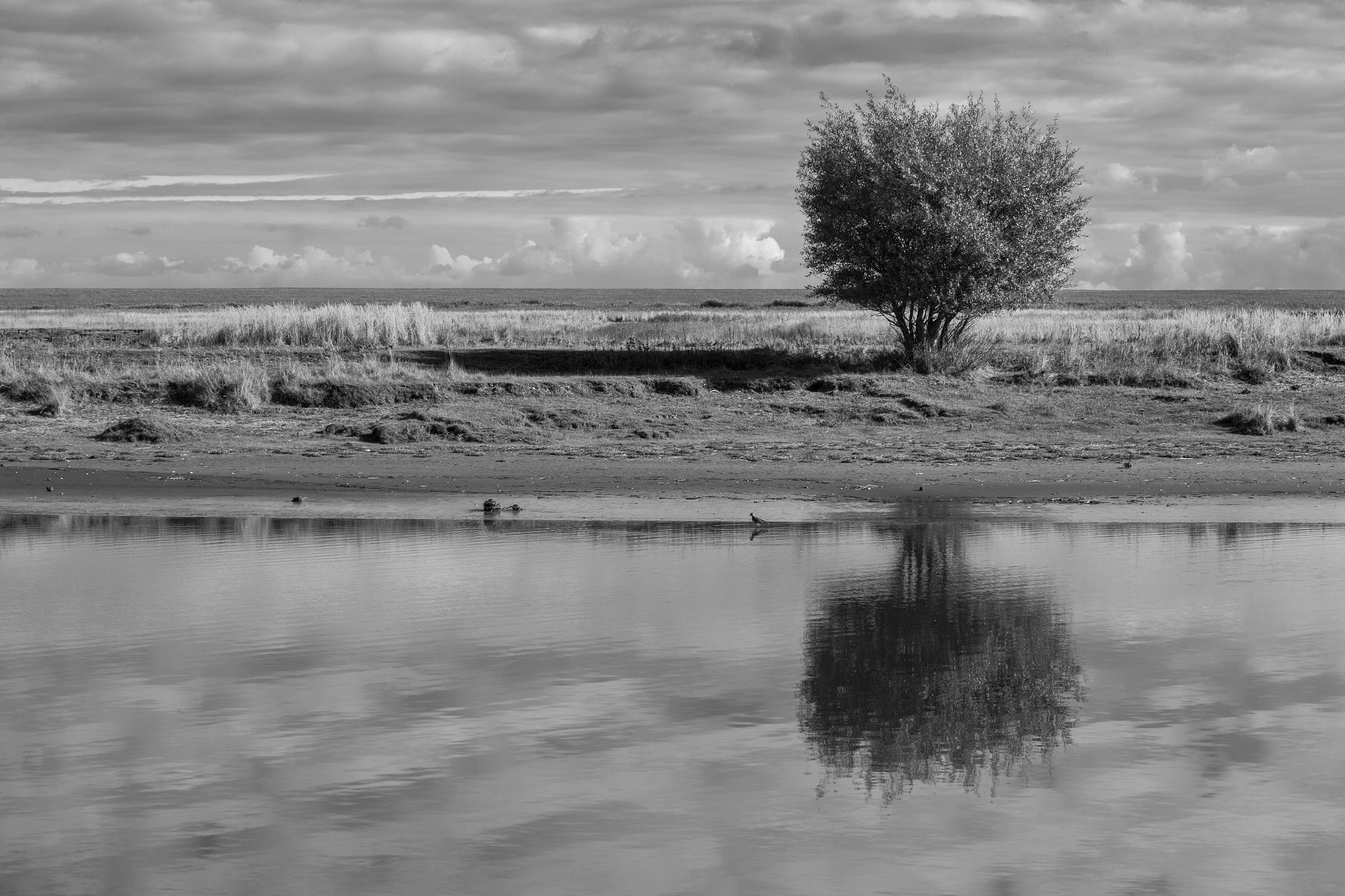 Canon EOS-1Ds Mark II sample photo. Ostfriesland - east frisia or eastern friesland is photography