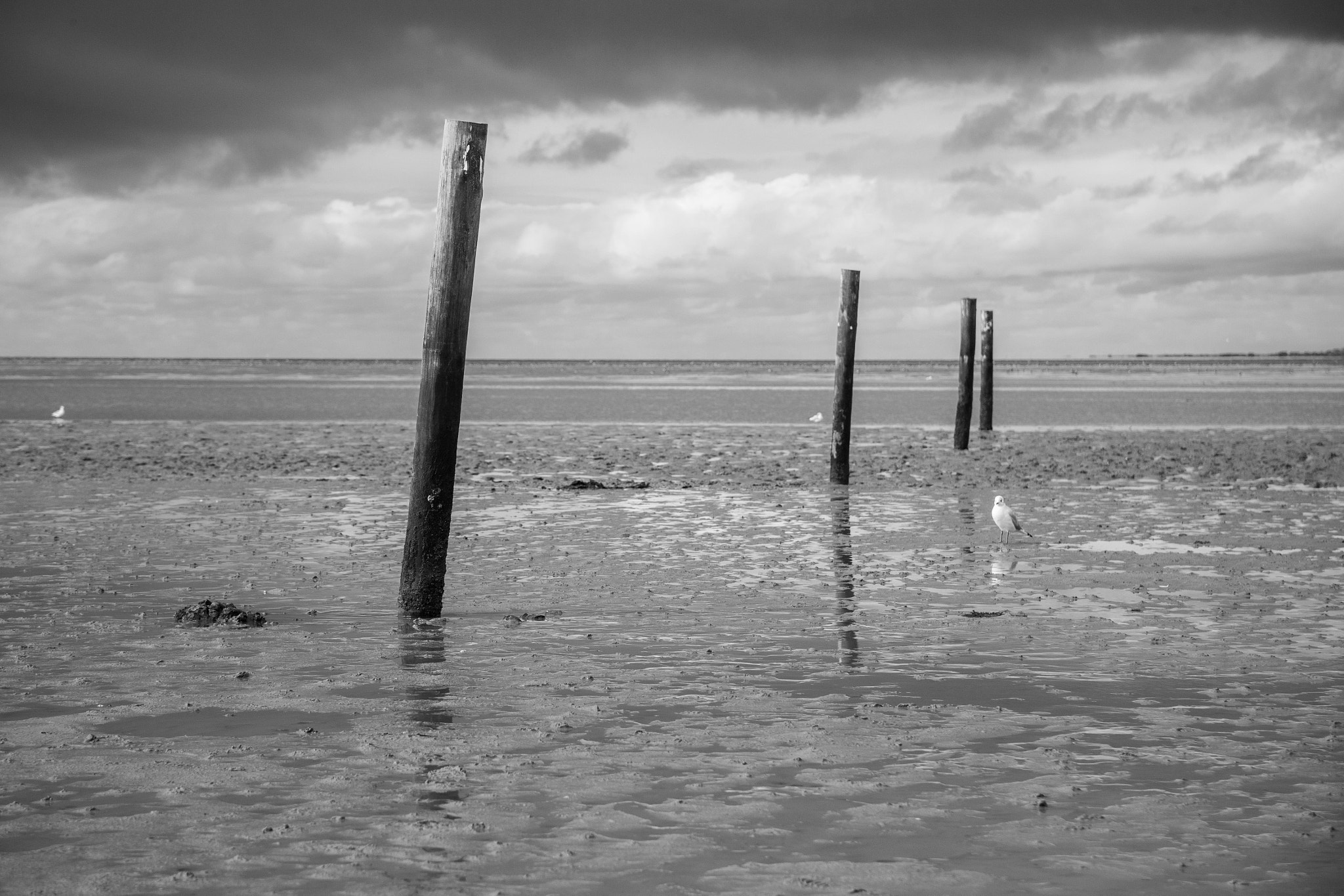 Canon EOS-1Ds Mark II + Canon EF 24-85mm F3.5-4.5 USM sample photo. Ostfriesland - east frisia or eastern friesland is photography