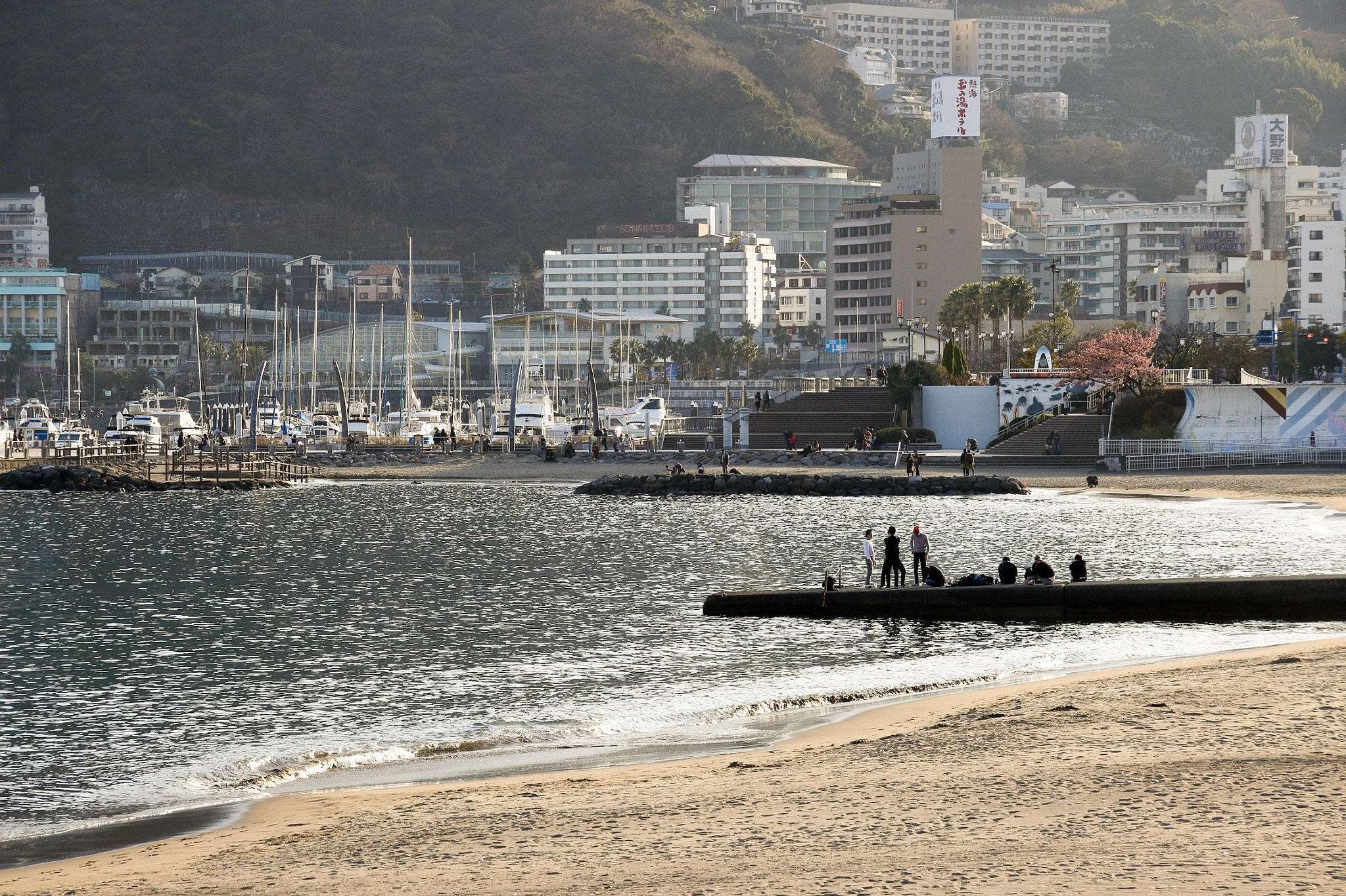 Canon EF-S 17-85mm F4-5.6 IS USM sample photo