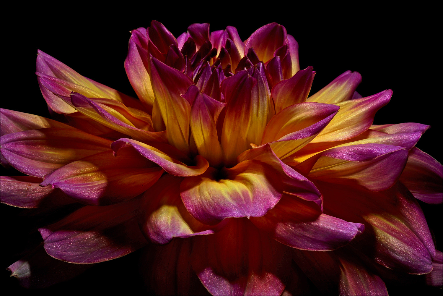 100mm F2.8 SSM sample photo. Brighten the day photography