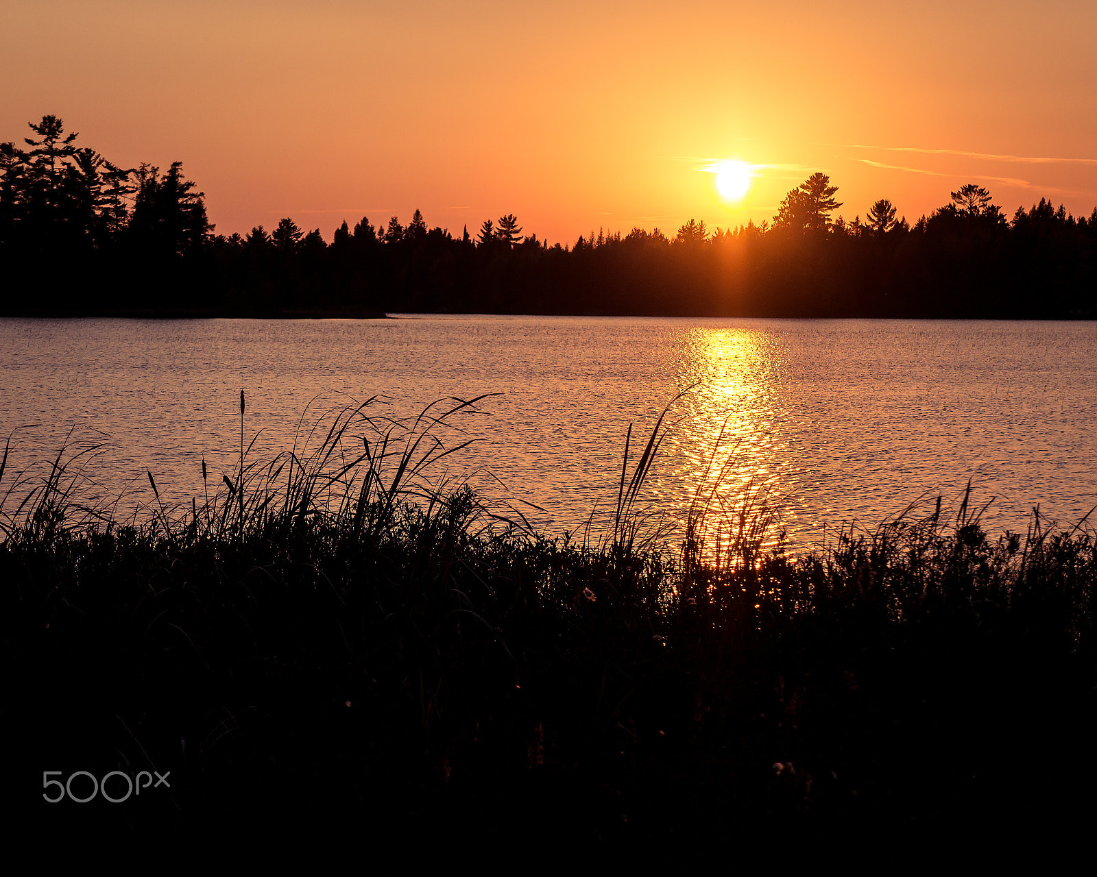 Sony Alpha NEX-C3 sample photo. Warm sunset photography