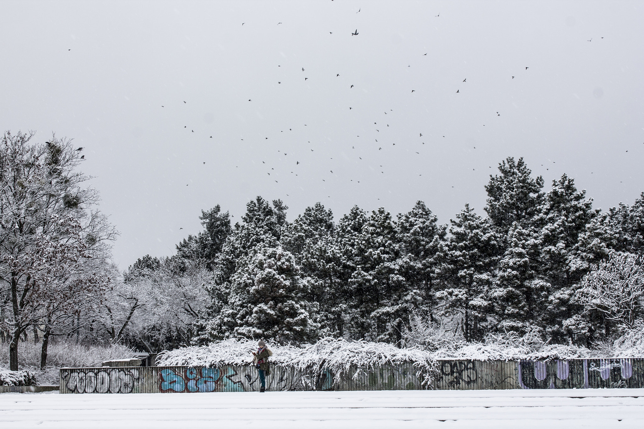 Canon EF-S 18-55mm F3.5-5.6 IS sample photo. Winter in bratislava photography