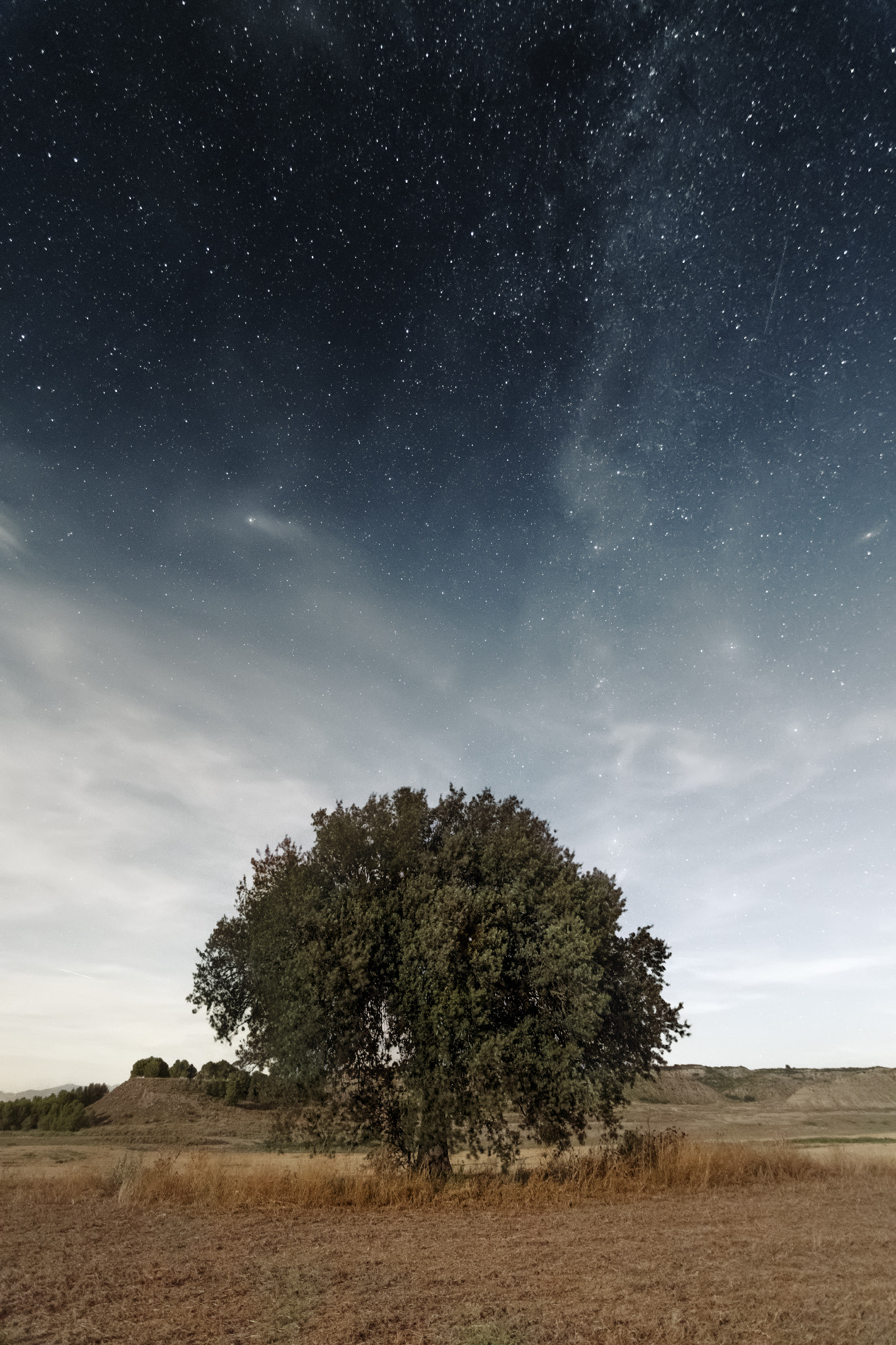 Nikon D500 sample photo. Watching the stars for 100 years. photography