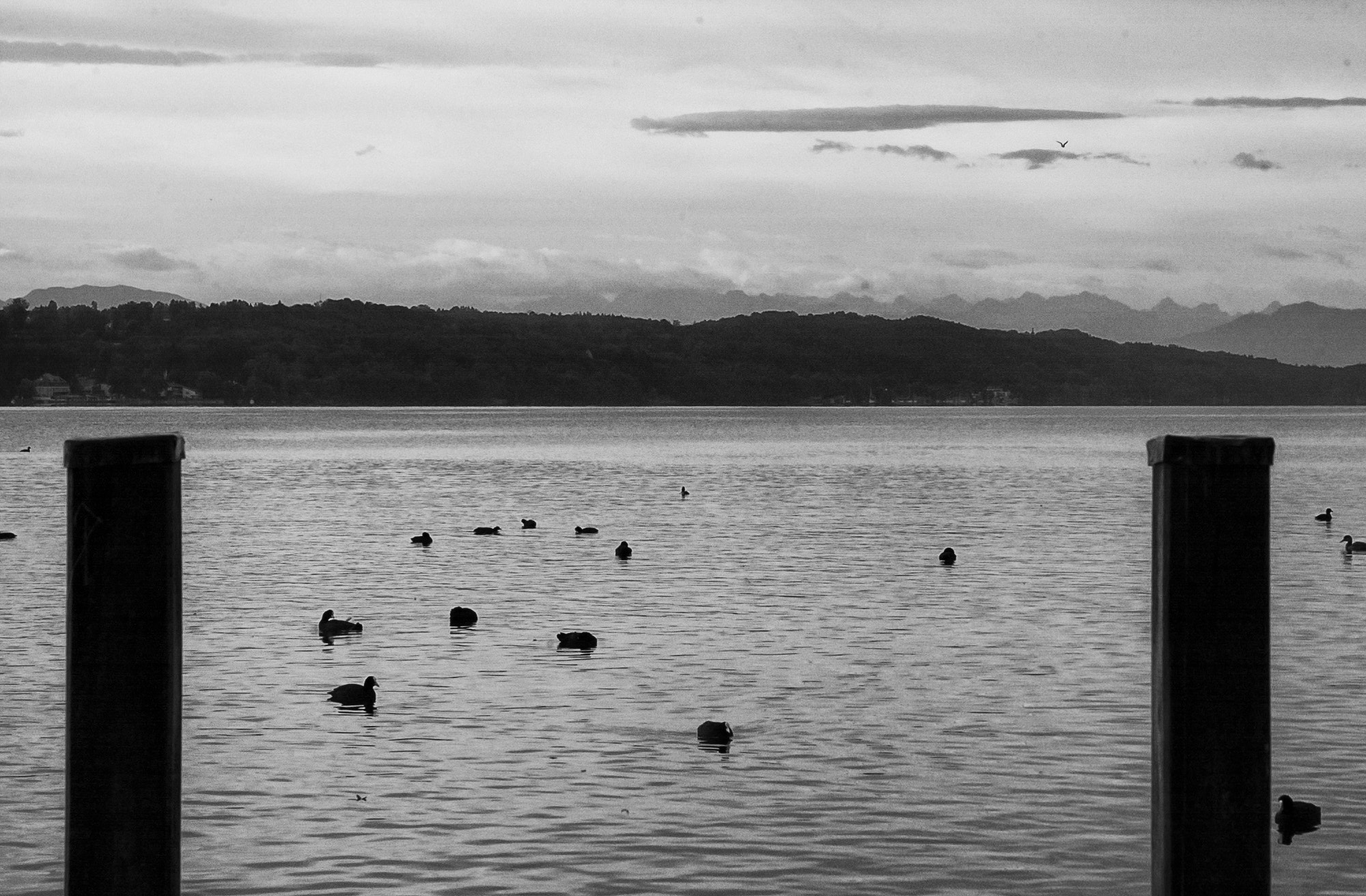 Nikon D1 sample photo. A morning at lake starnberger see photography