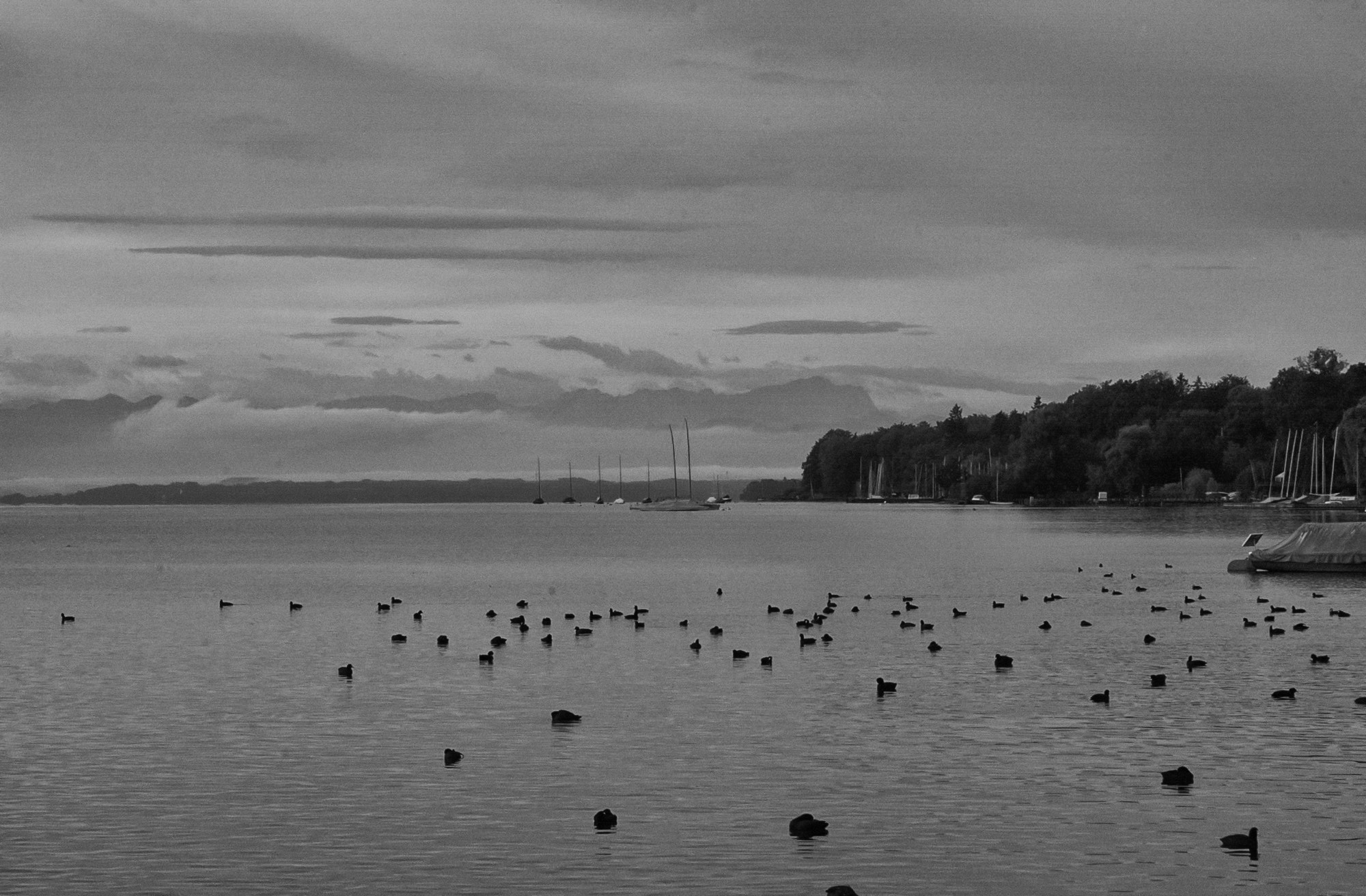 Nikon D1 sample photo. Lake starnberger see photography