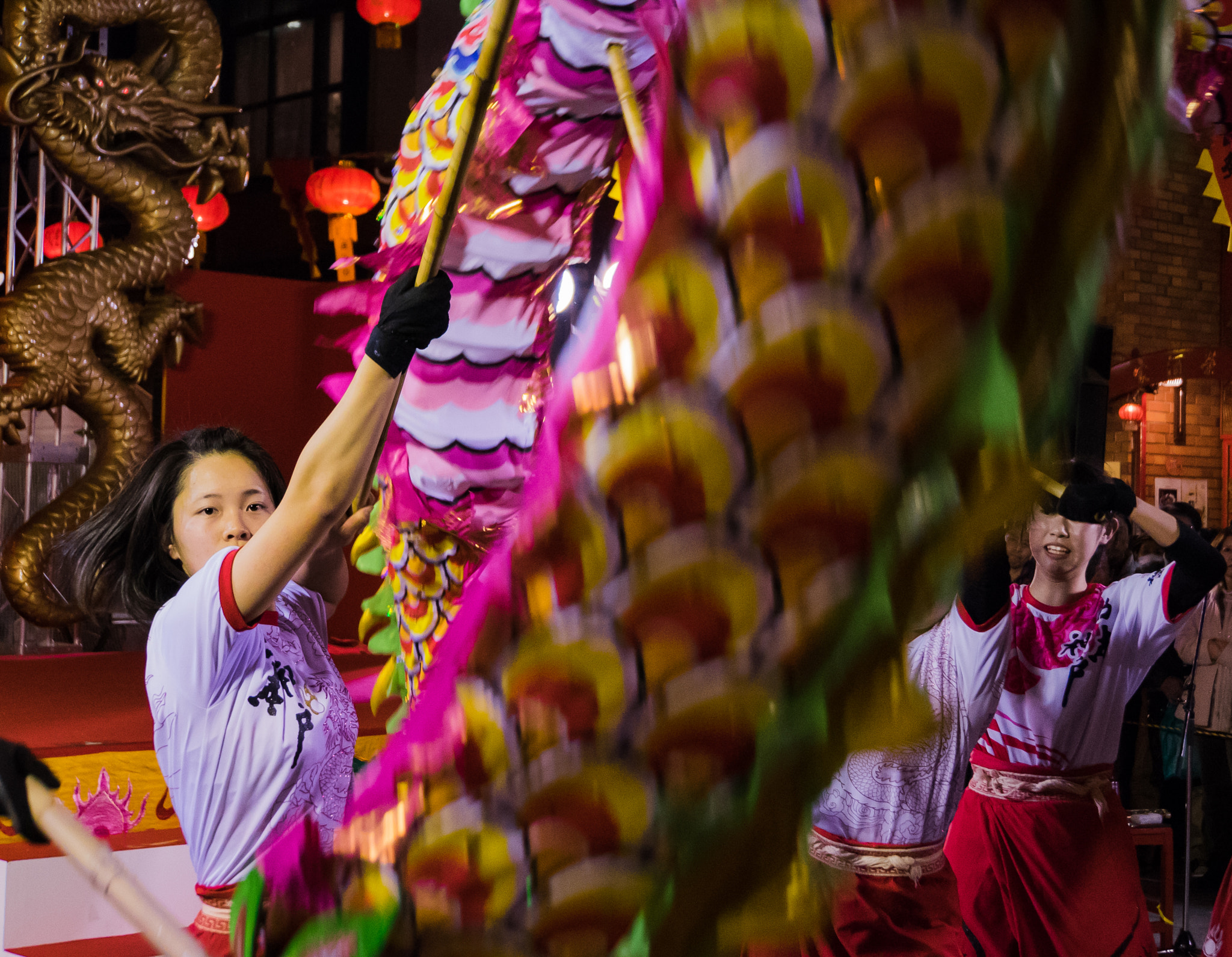 Sony E 18-200mm F3.5-6.3 OSS sample photo. Dragons flight photography