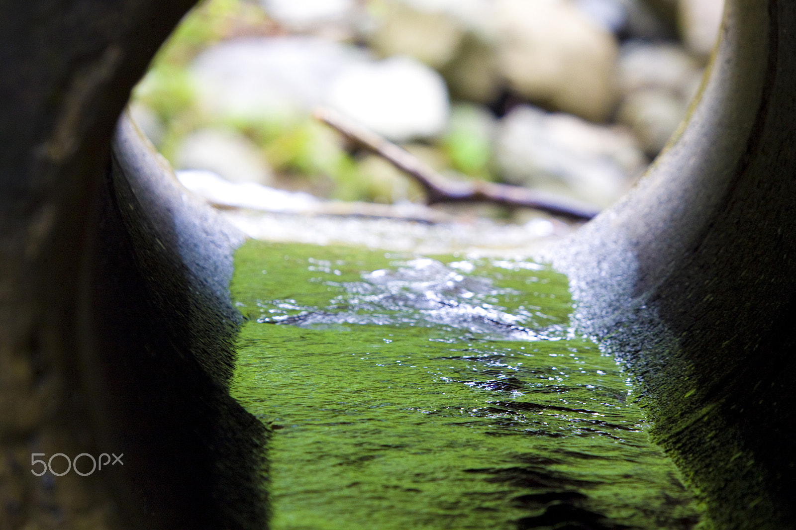 Canon EF 100-400mm F4.5-5.6L IS USM sample photo. Missed beauty photography