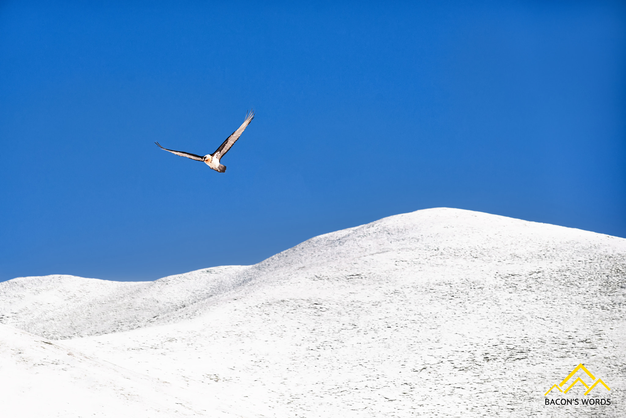 Nikon AF-Nikkor 80-200mm F2.8D ED sample photo. Freedom photography