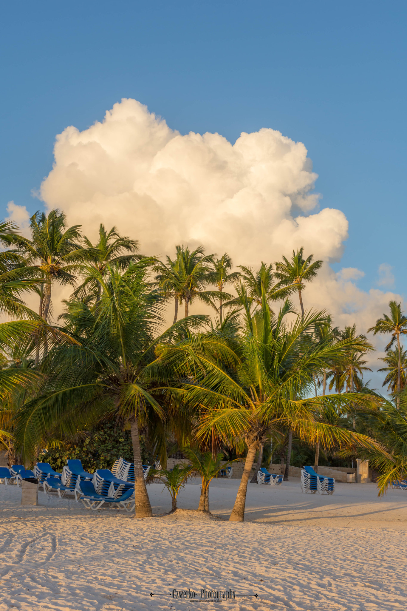Nikon AF-S Nikkor 24-70mm F2.8G ED sample photo. Punta cana photography